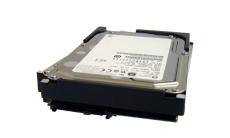 Seagate 300 GB HDD - ST3300656SS 