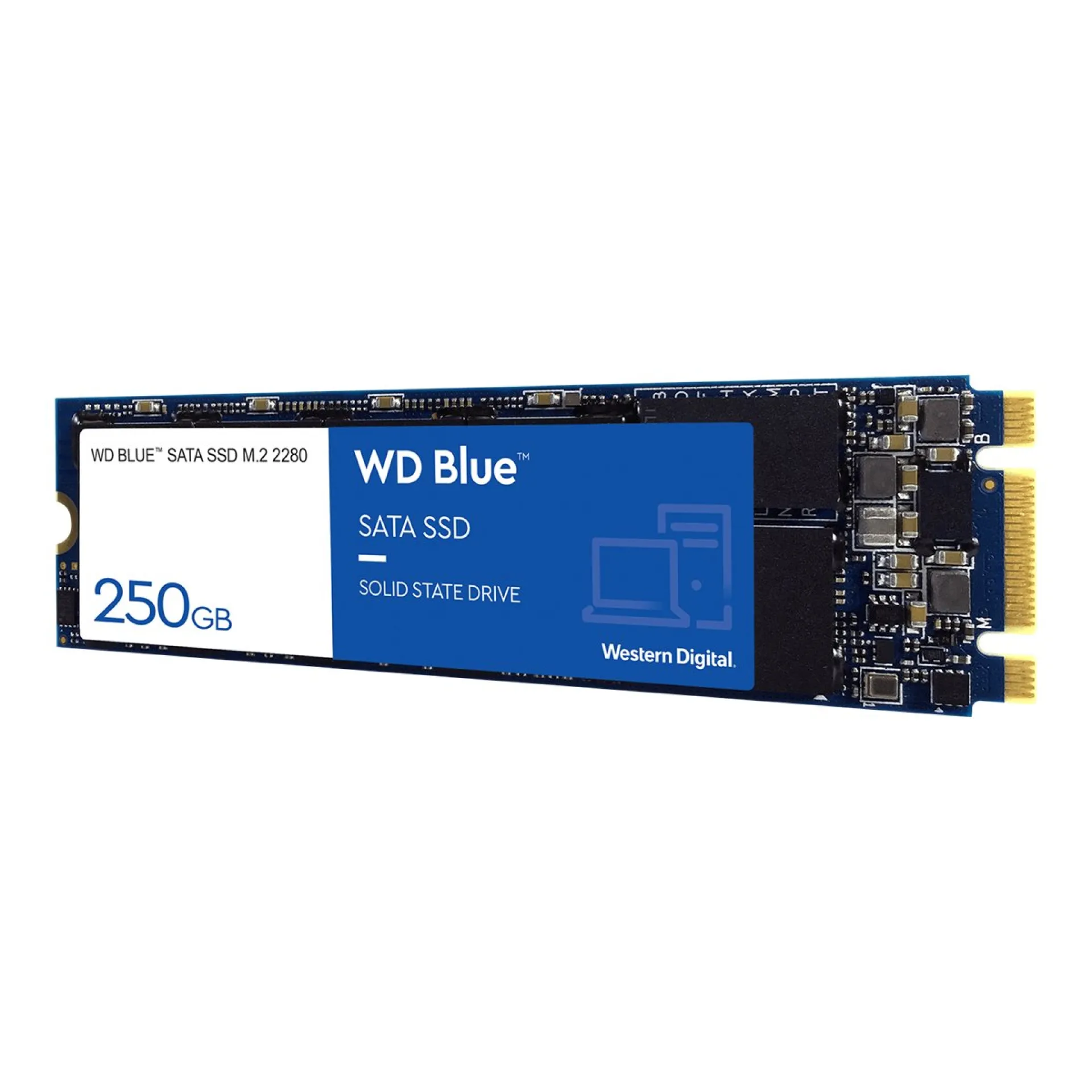 WDS250G2B0B