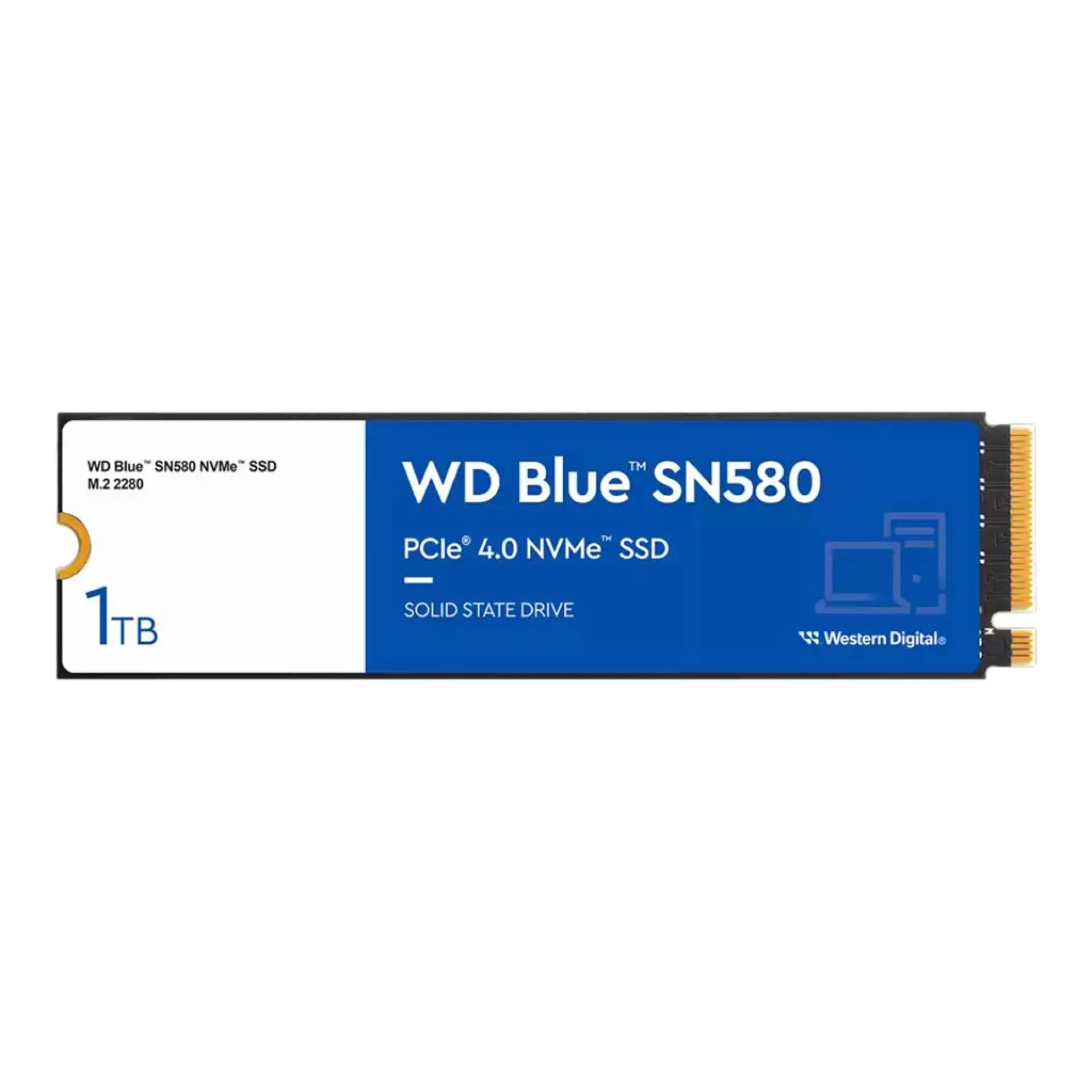 WDS100T3B0E