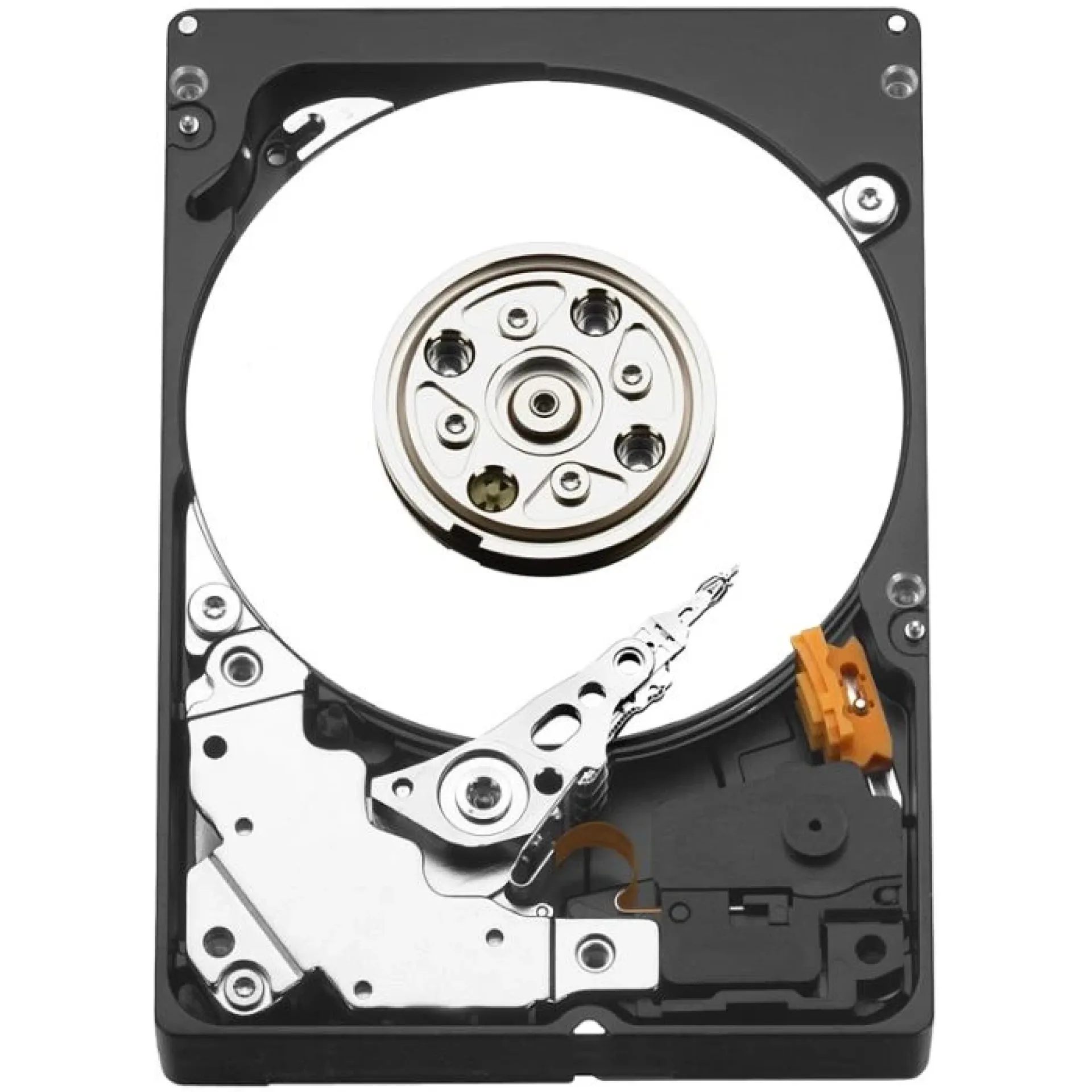 WD1000CHTZ