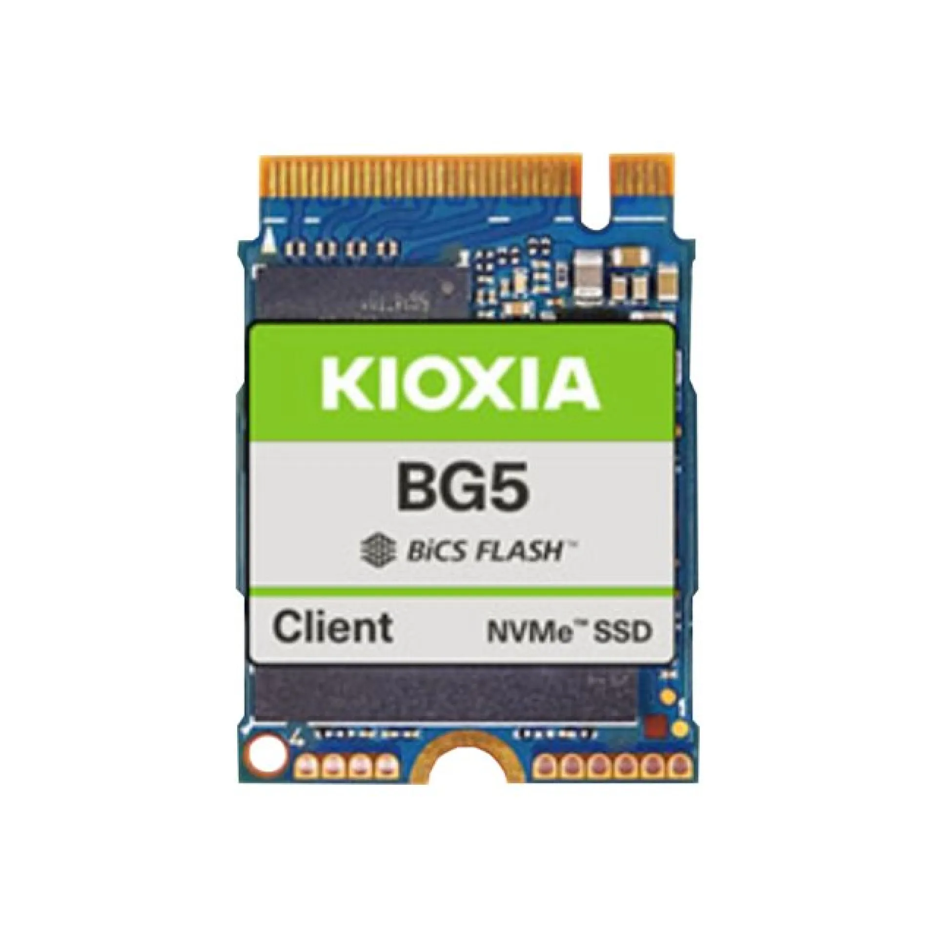 KBG50ZNS256G
