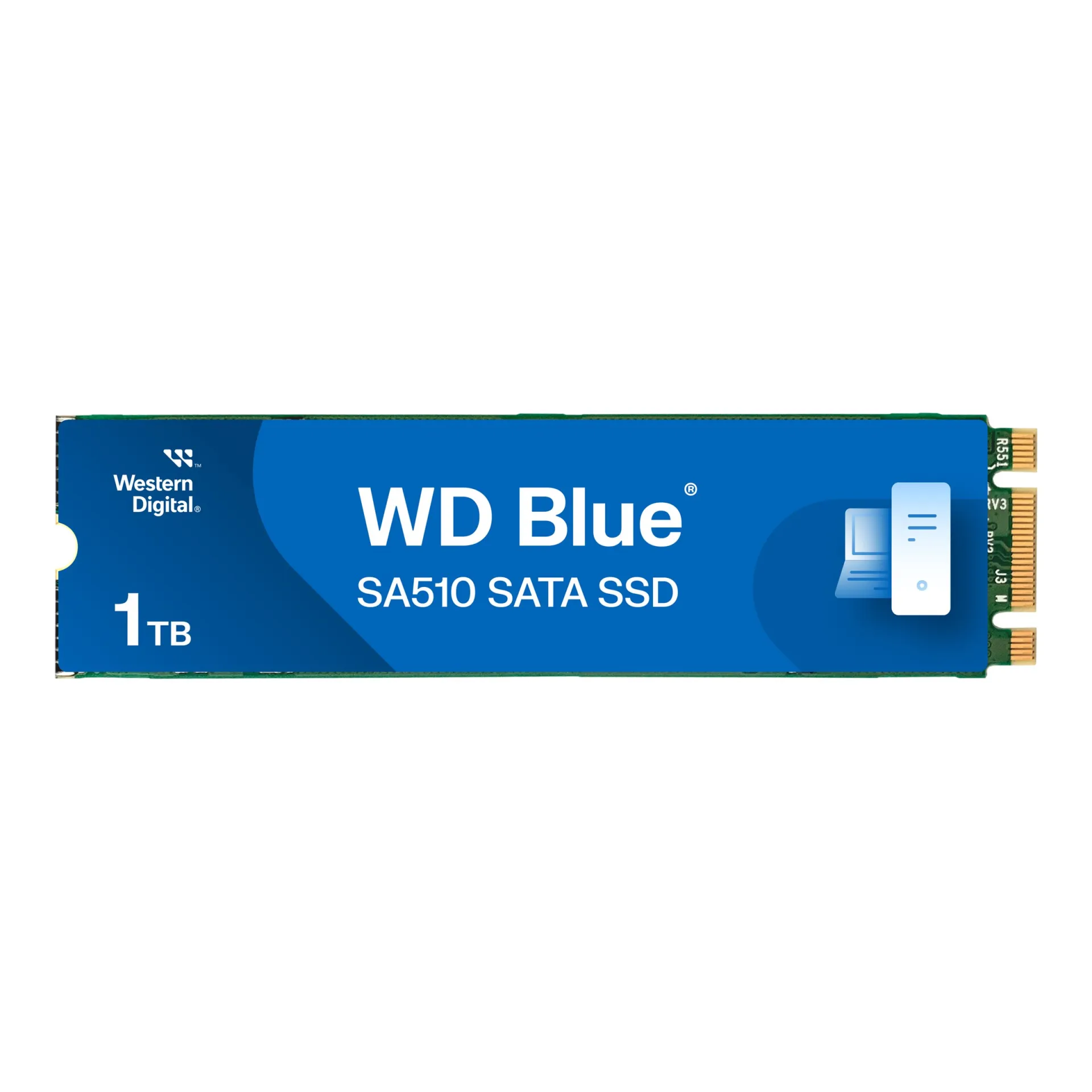 WDS100T3B0B