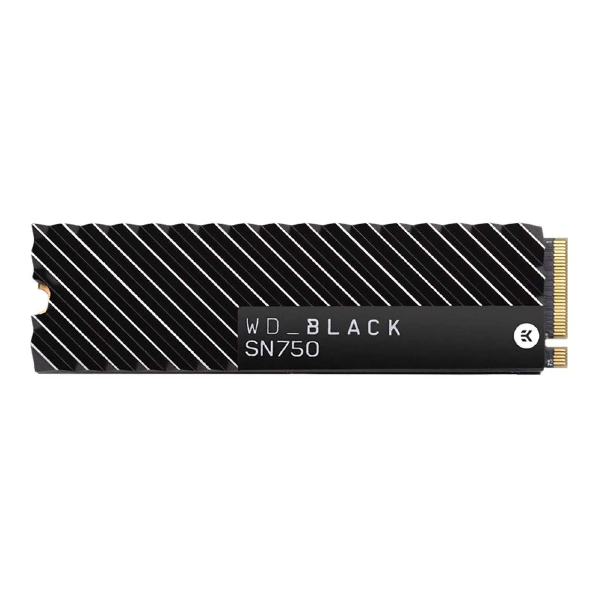 WDS200T3X0C