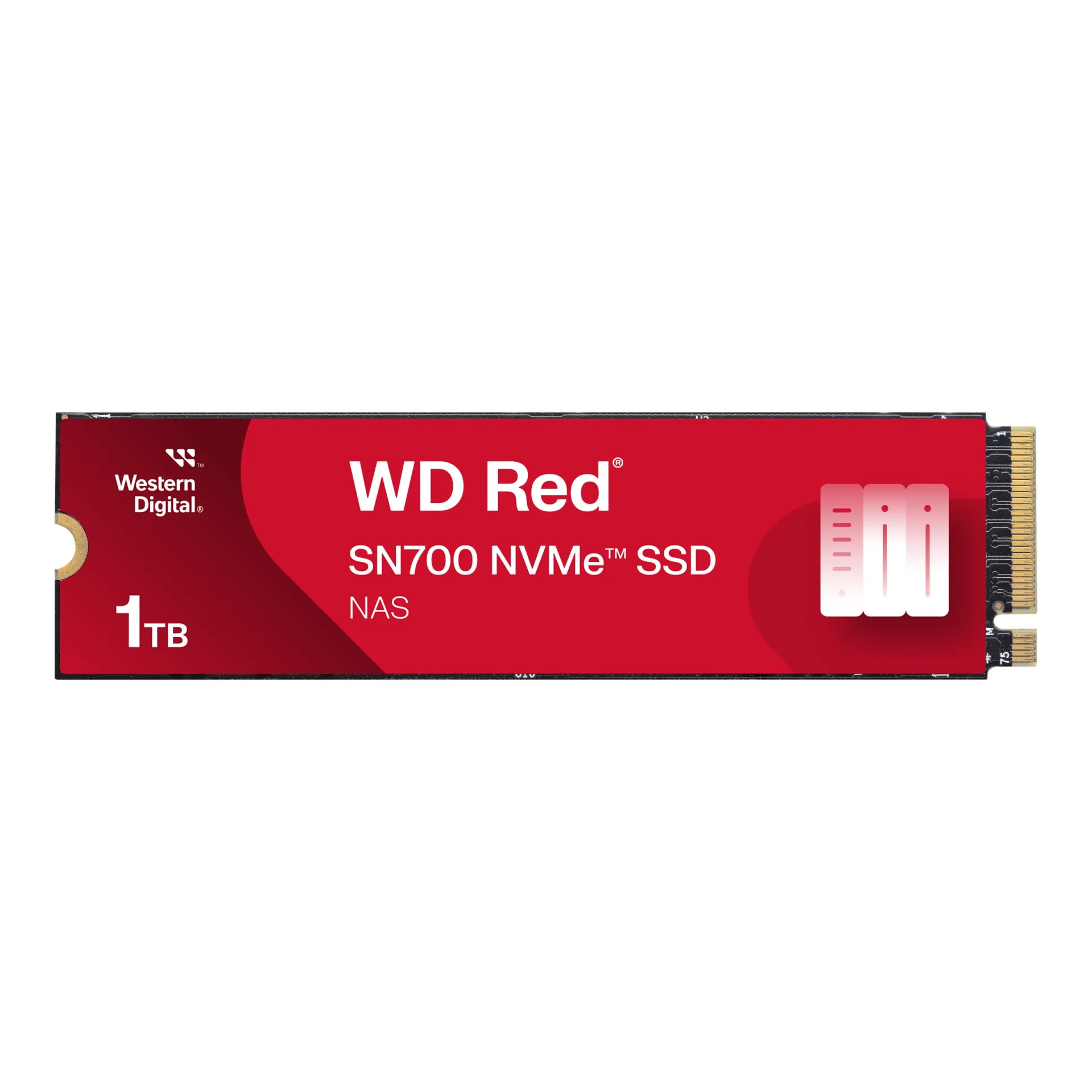 WDS100T1R0C