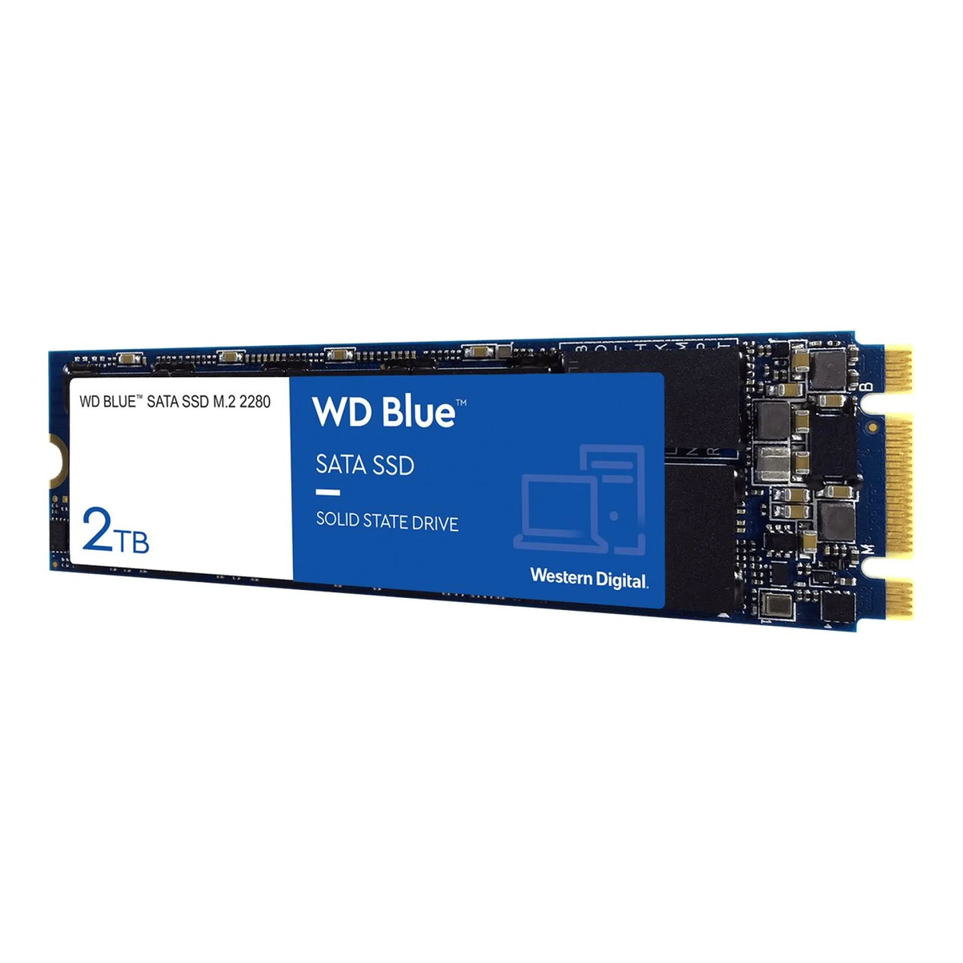 WDS200T2B0B
