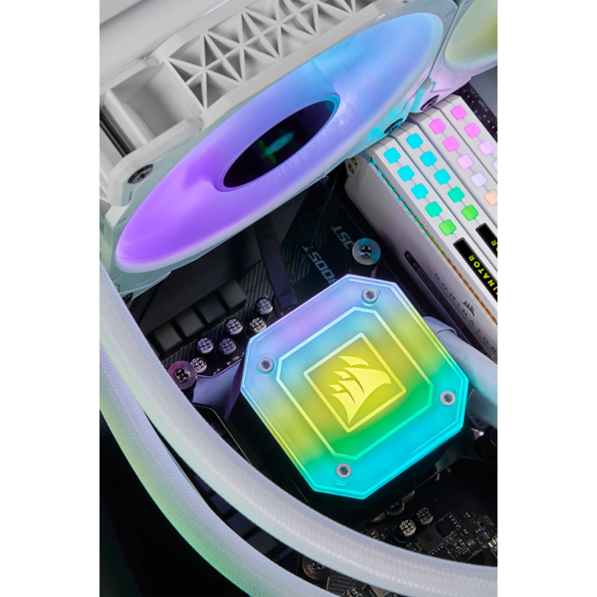 CW-9060050-WW