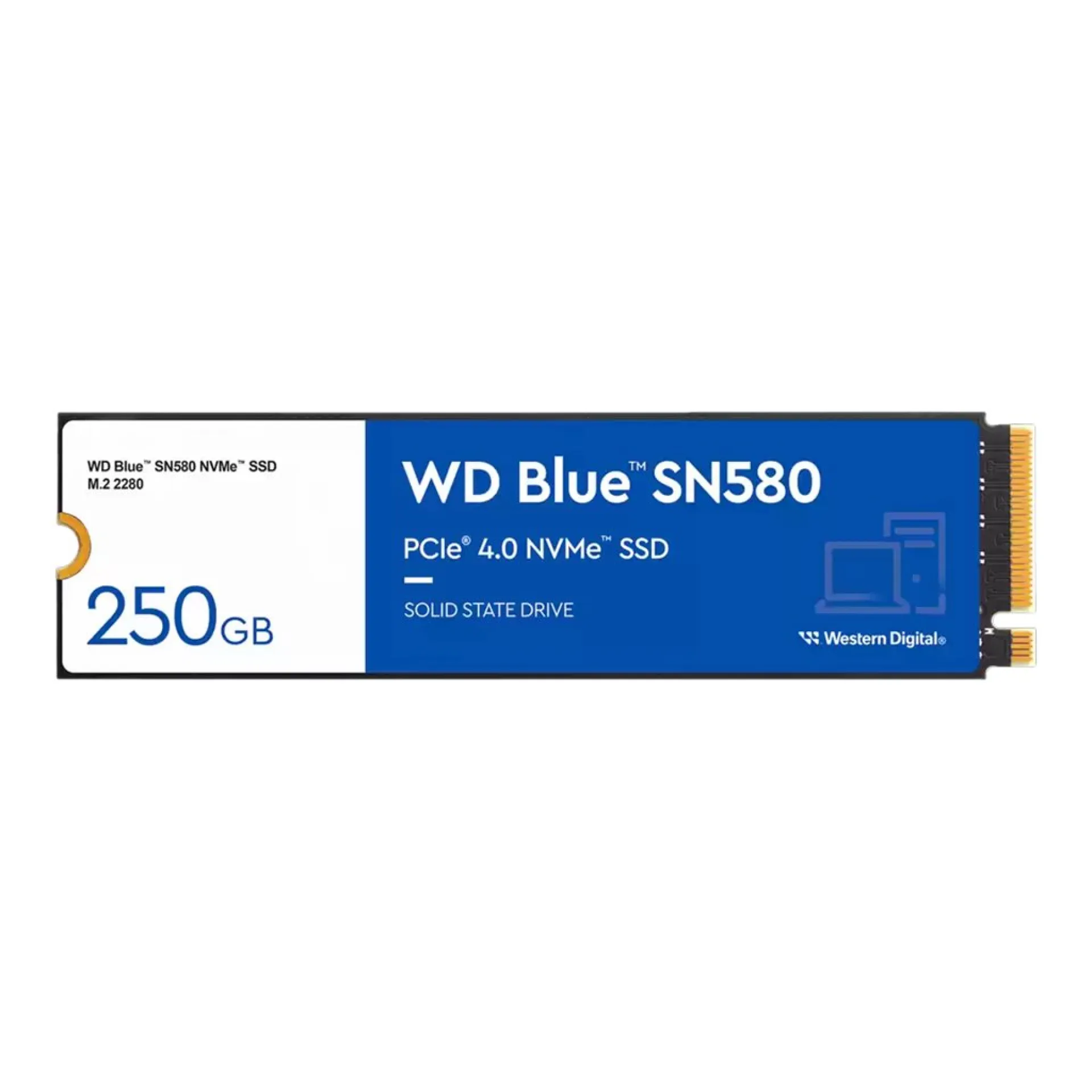 WDS250G3B0E