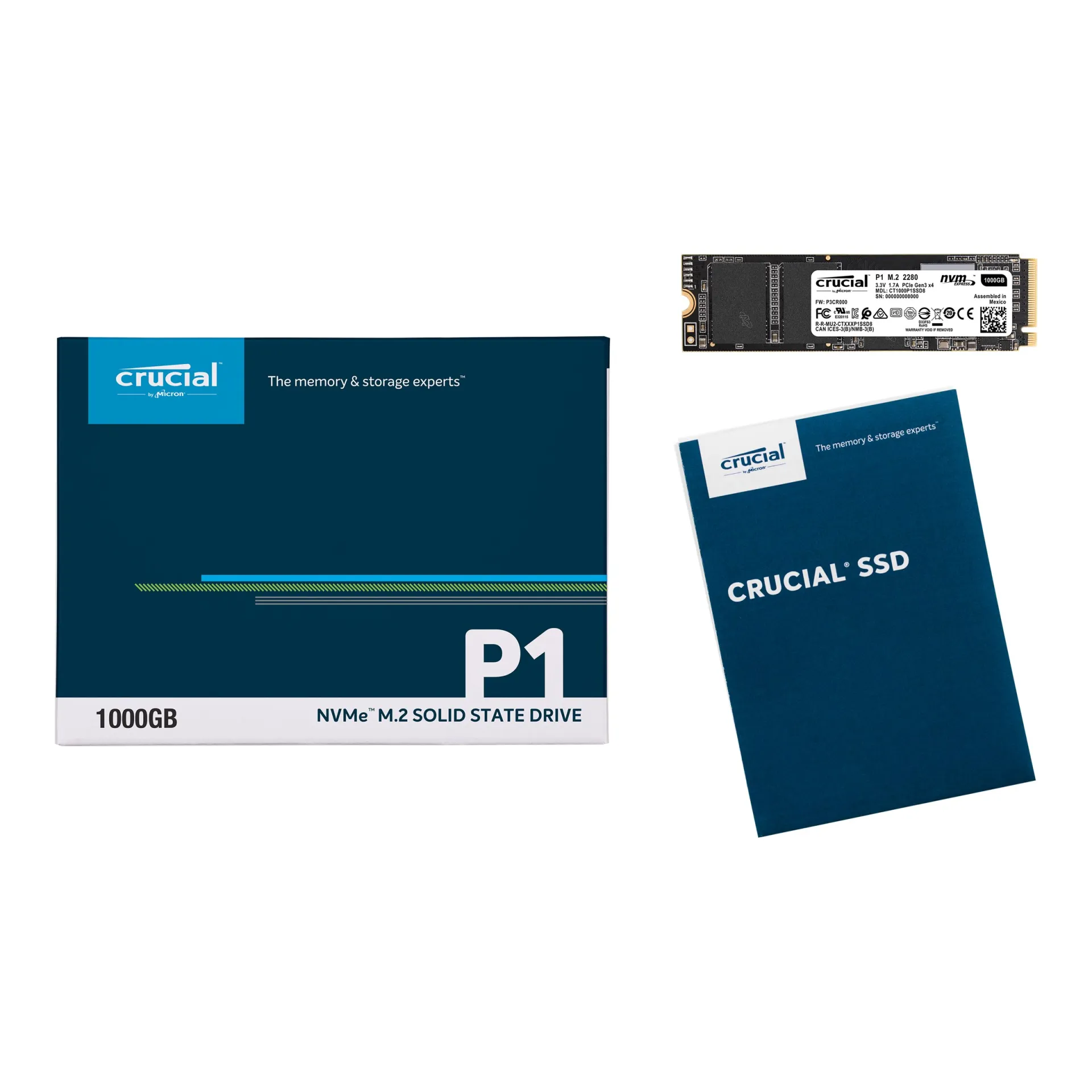 CT1000P1SSD8