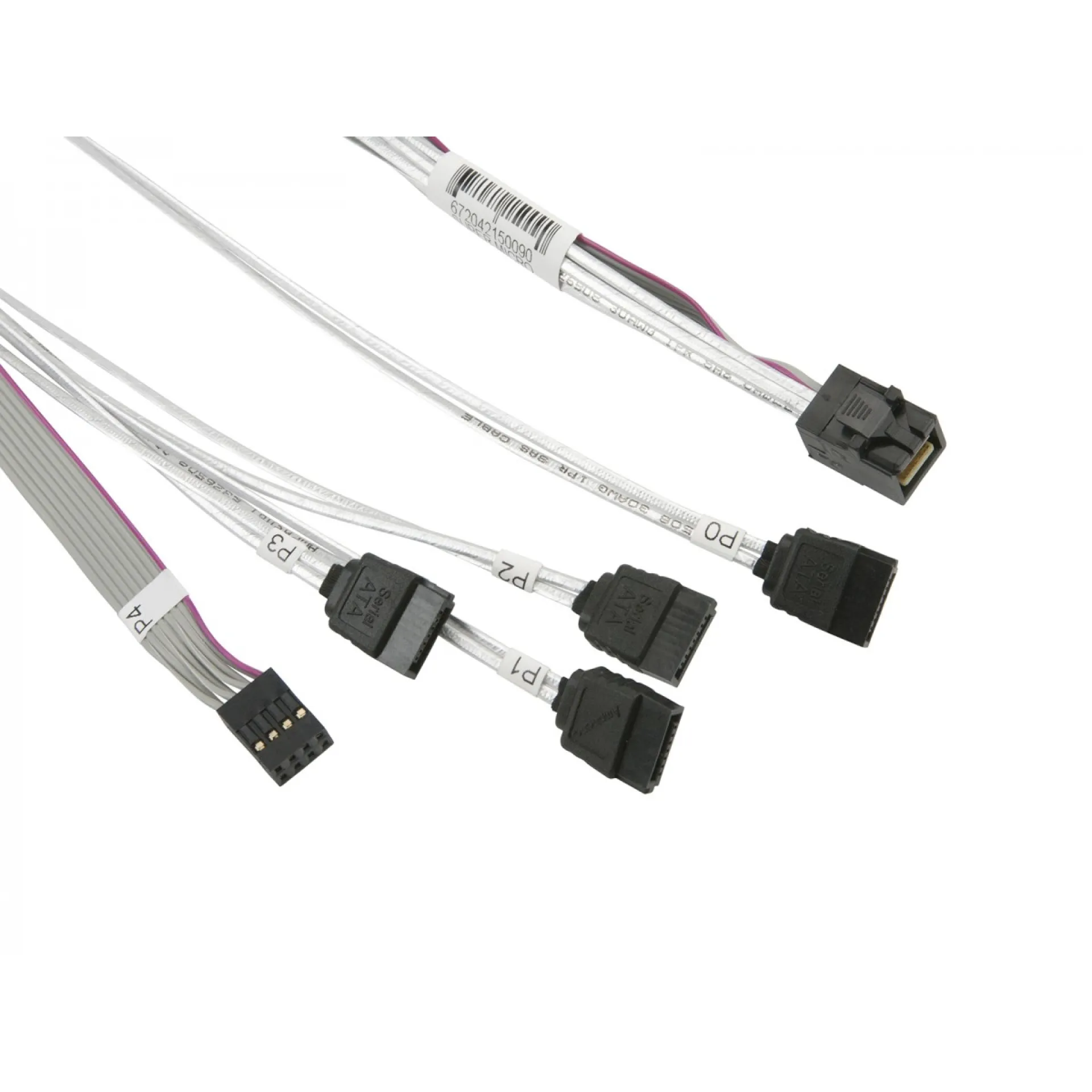 CBL-SAST-0591