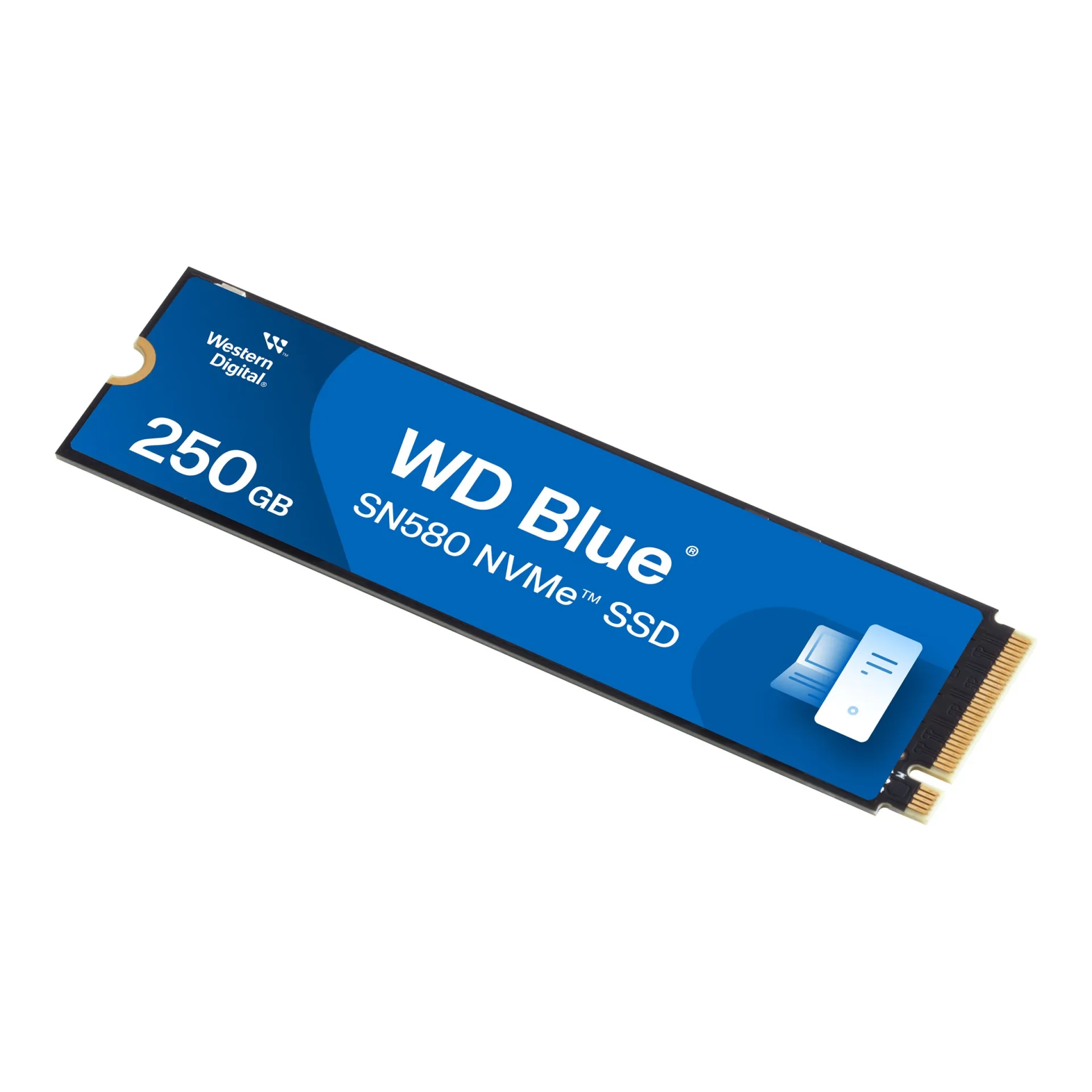 WDS250G3B0E