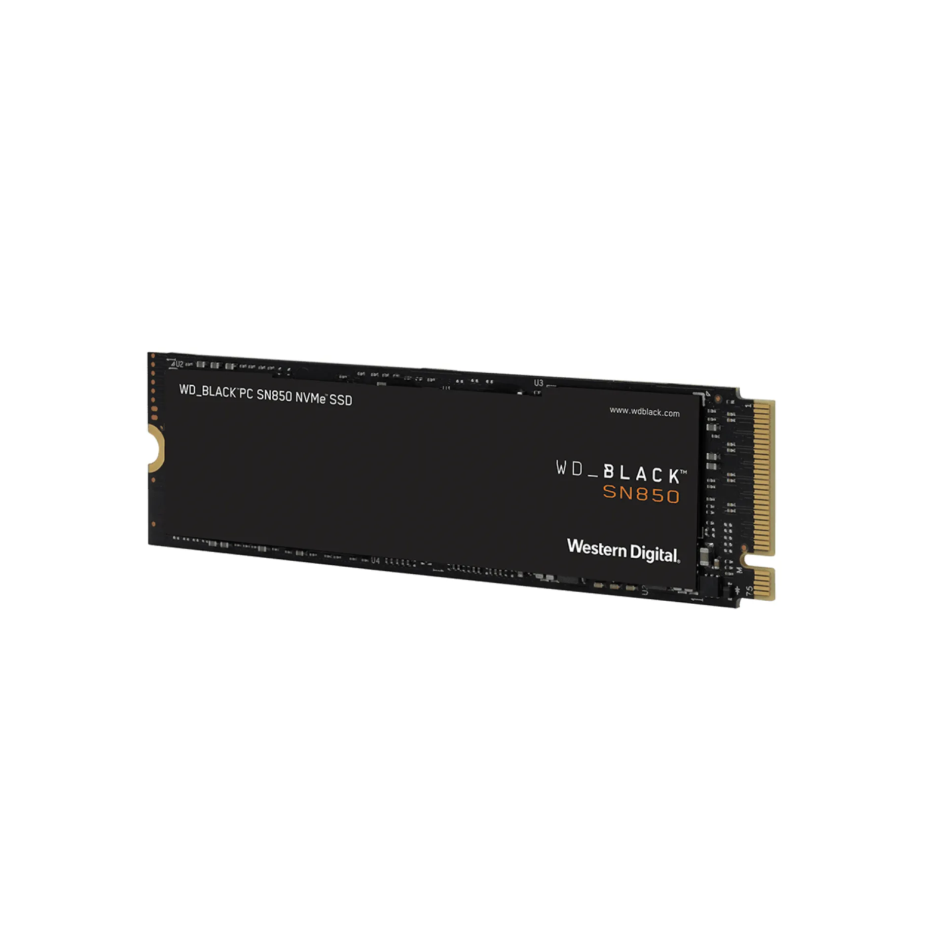 WDS500G1X0E