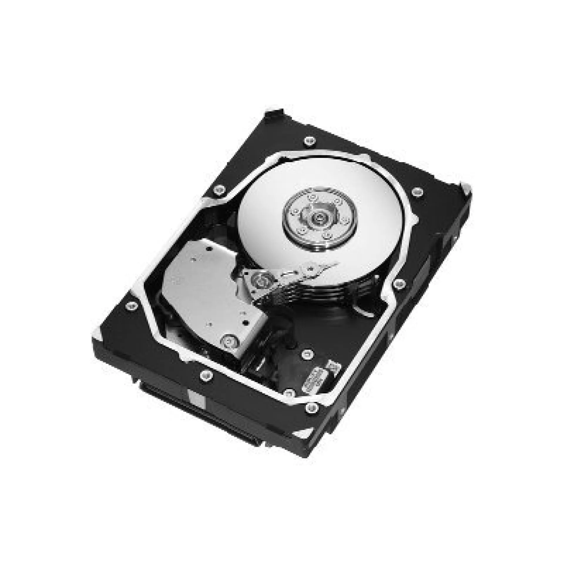 ST3300655LC