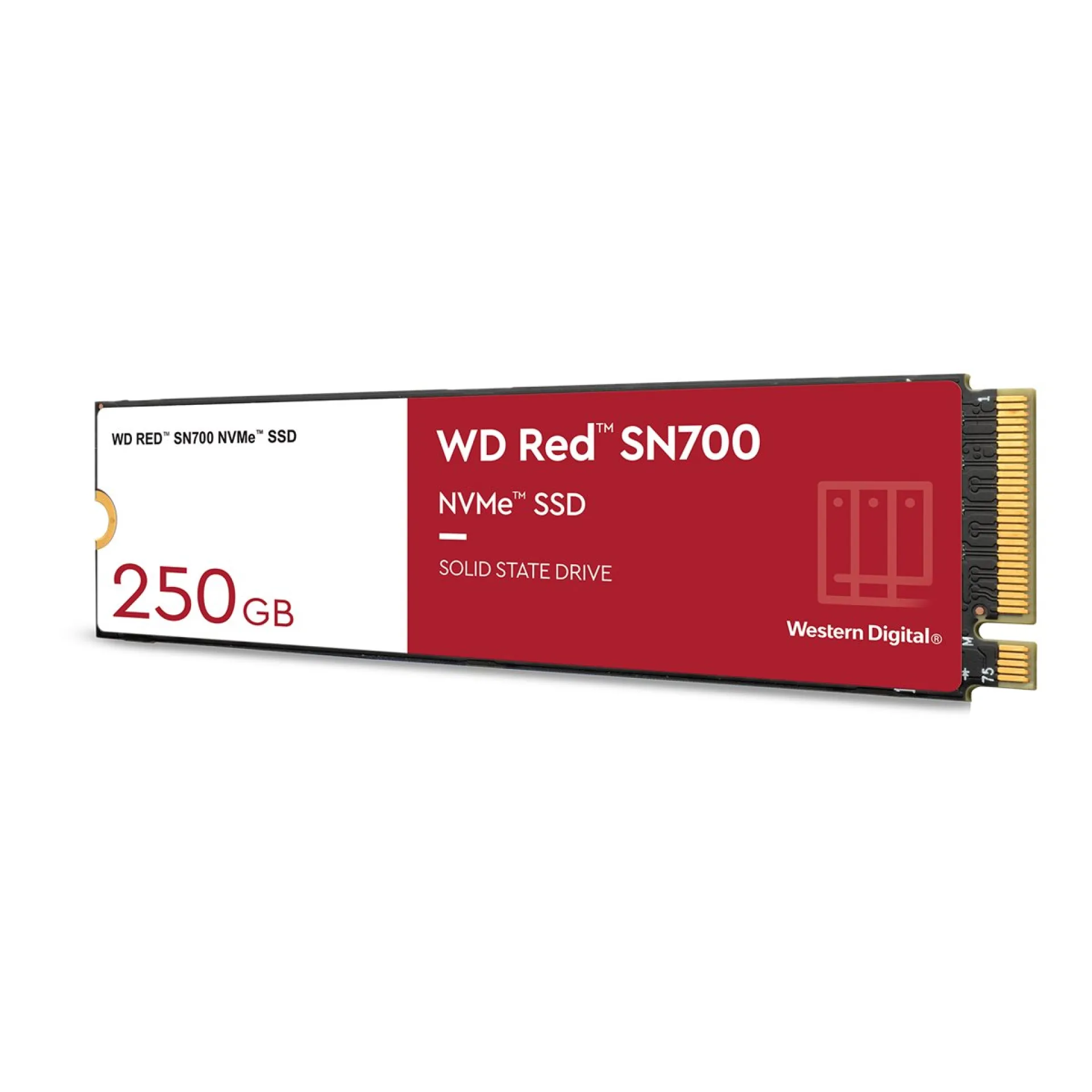 WDS250G1R0C