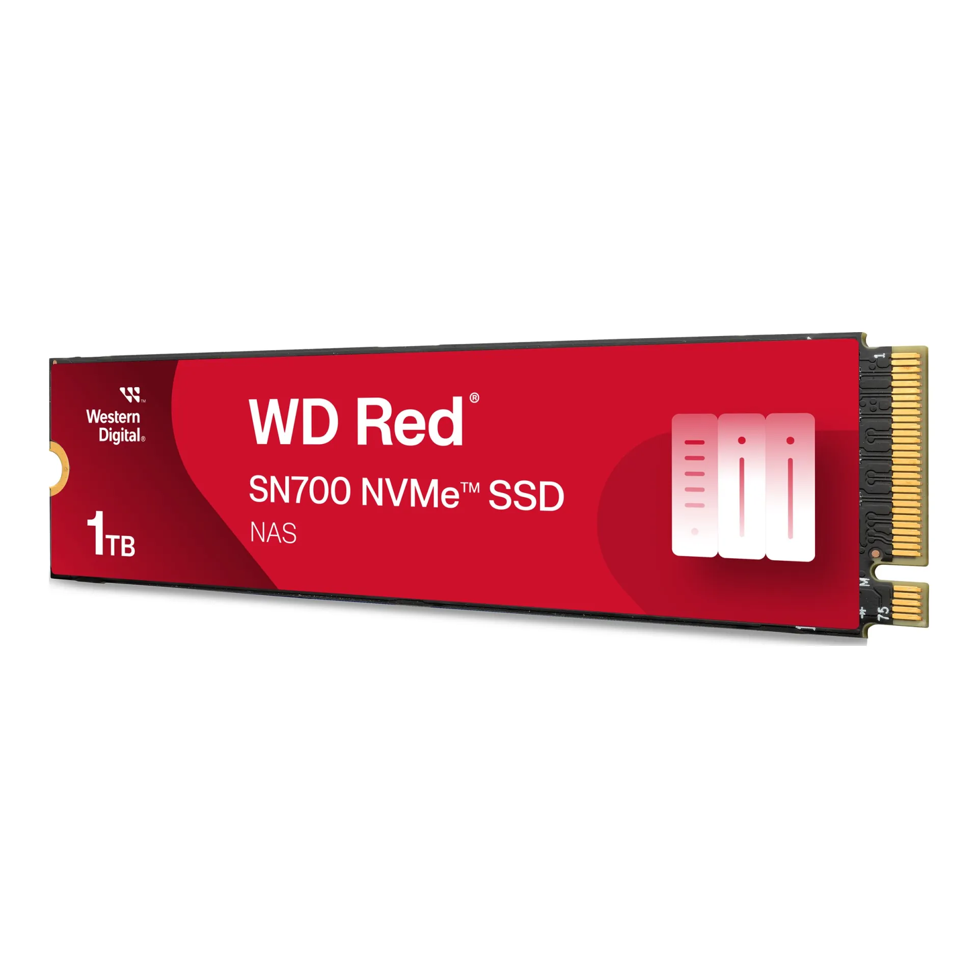 WDS100T1R0C