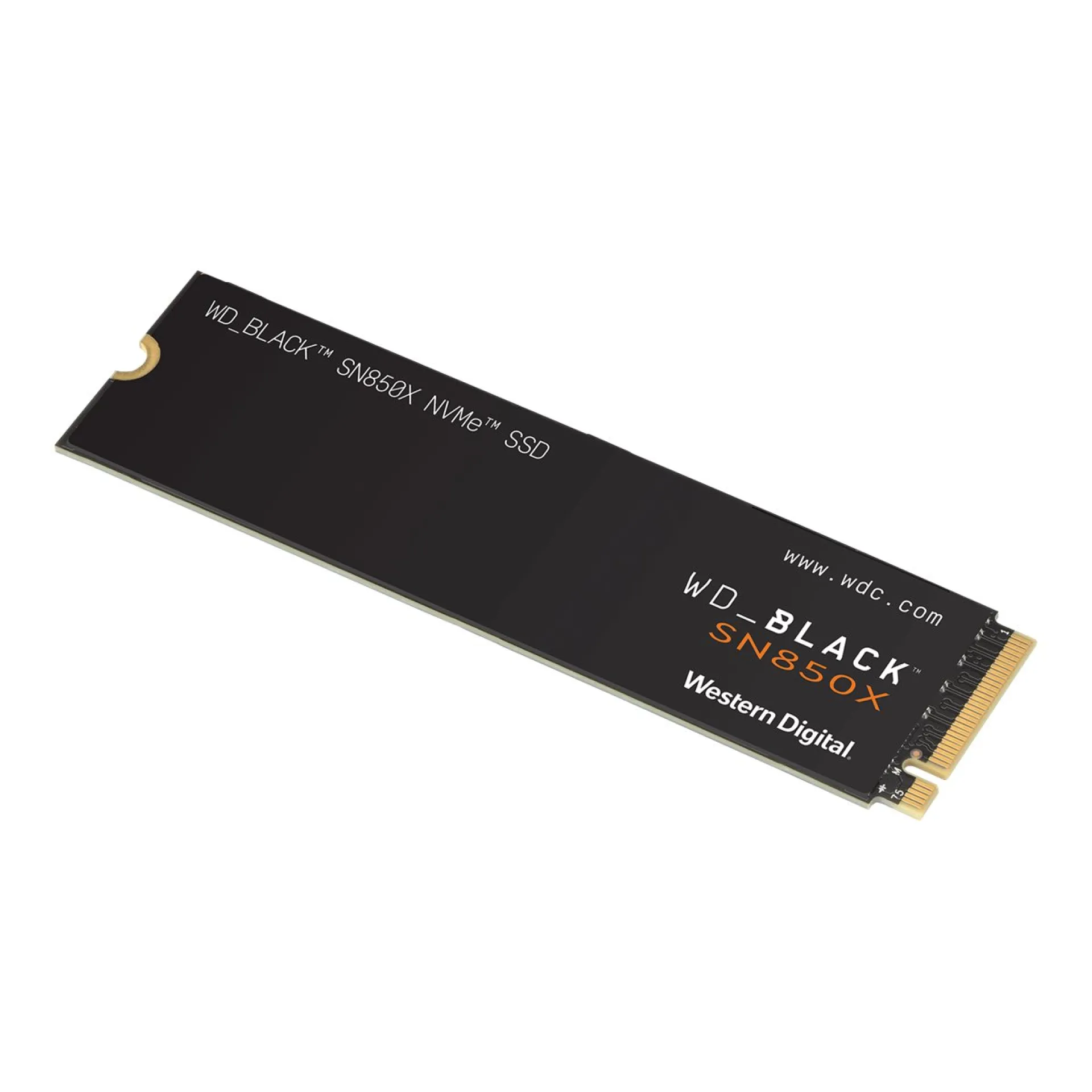WDS100T2X0E