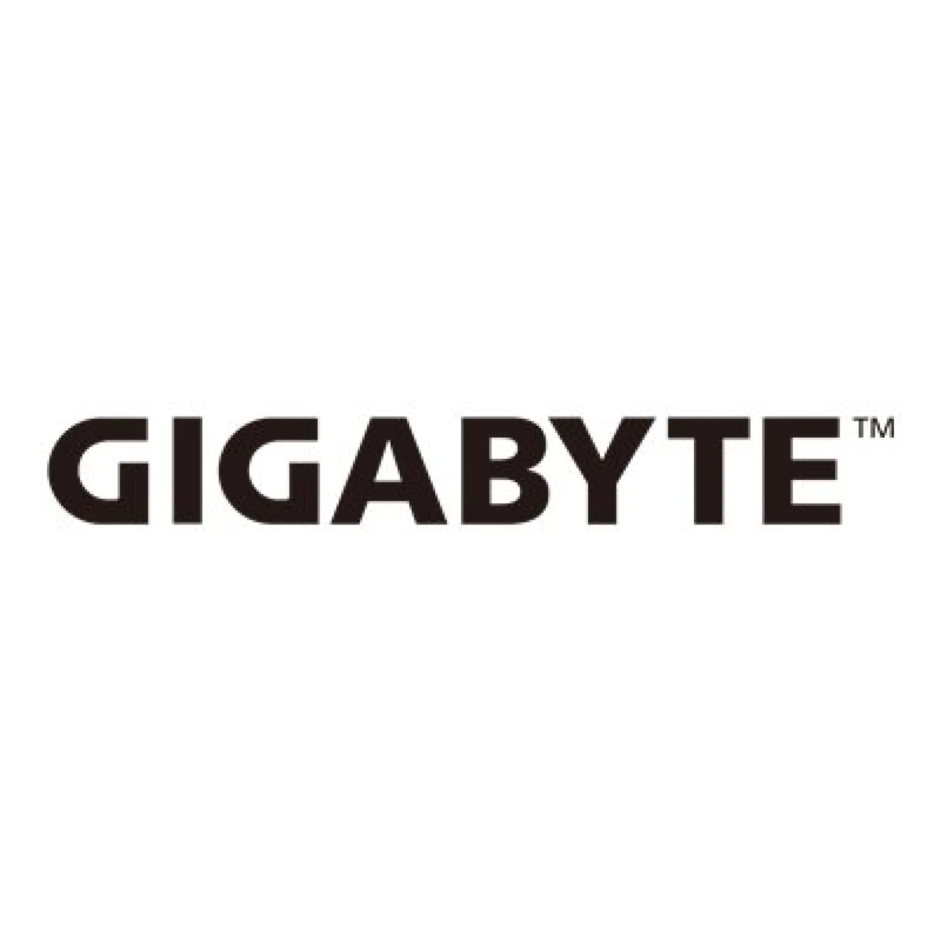 MS03-CE0 Gigabyte