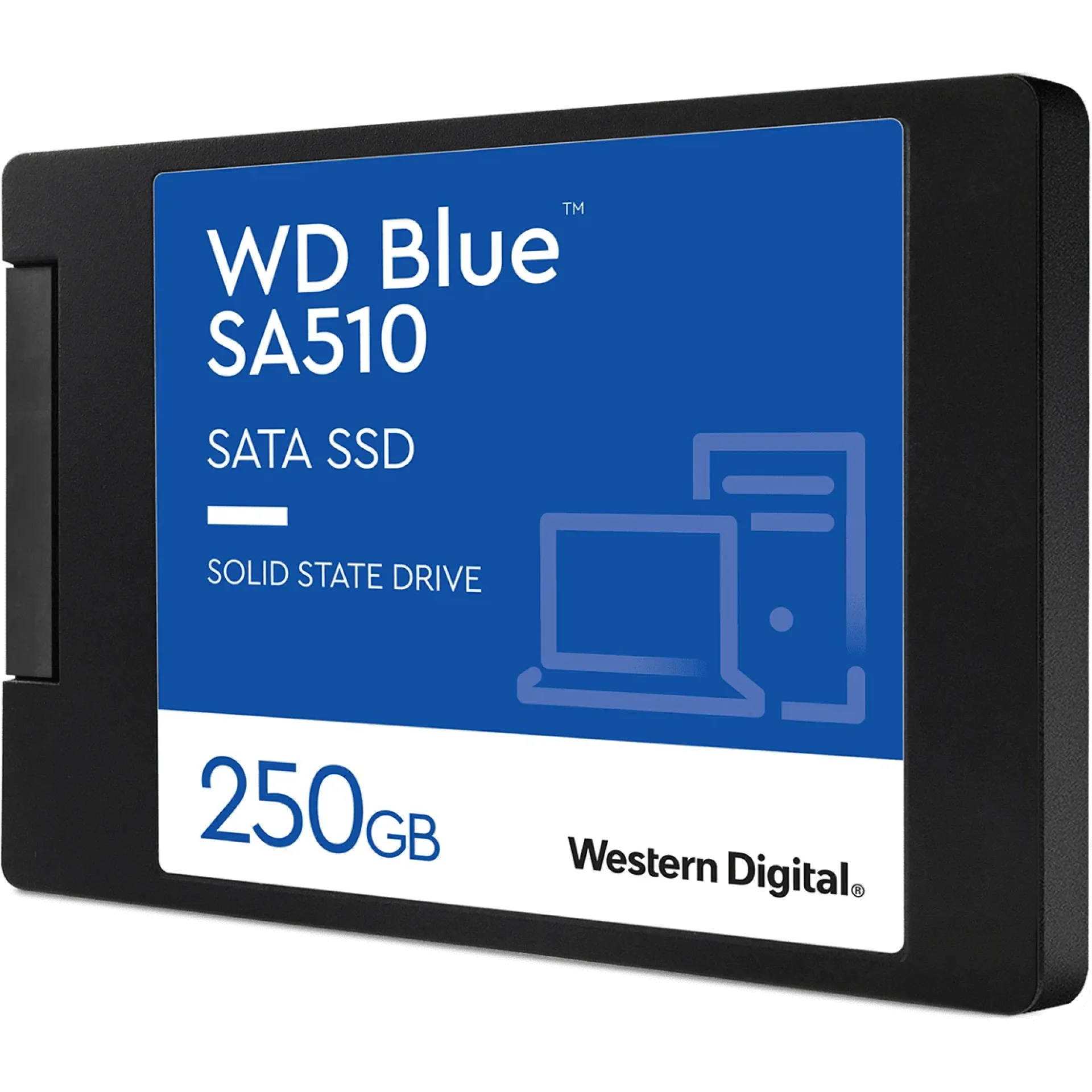 WDS250G3B0A-00AXR0