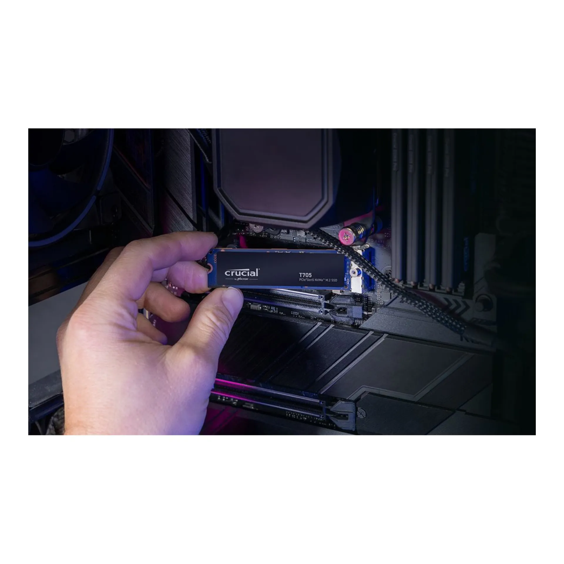 CT1000T705SSD3