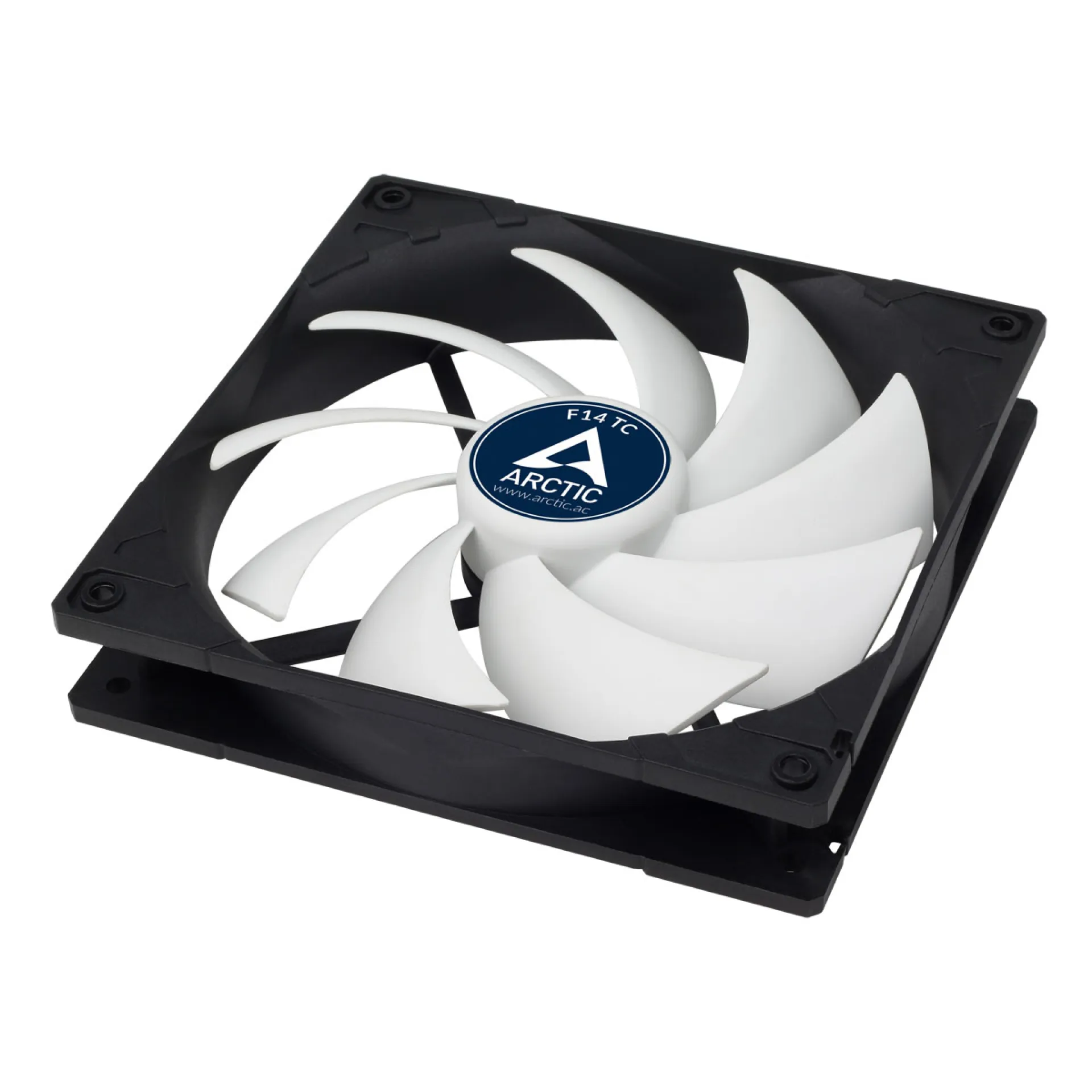 ACFAN00081A