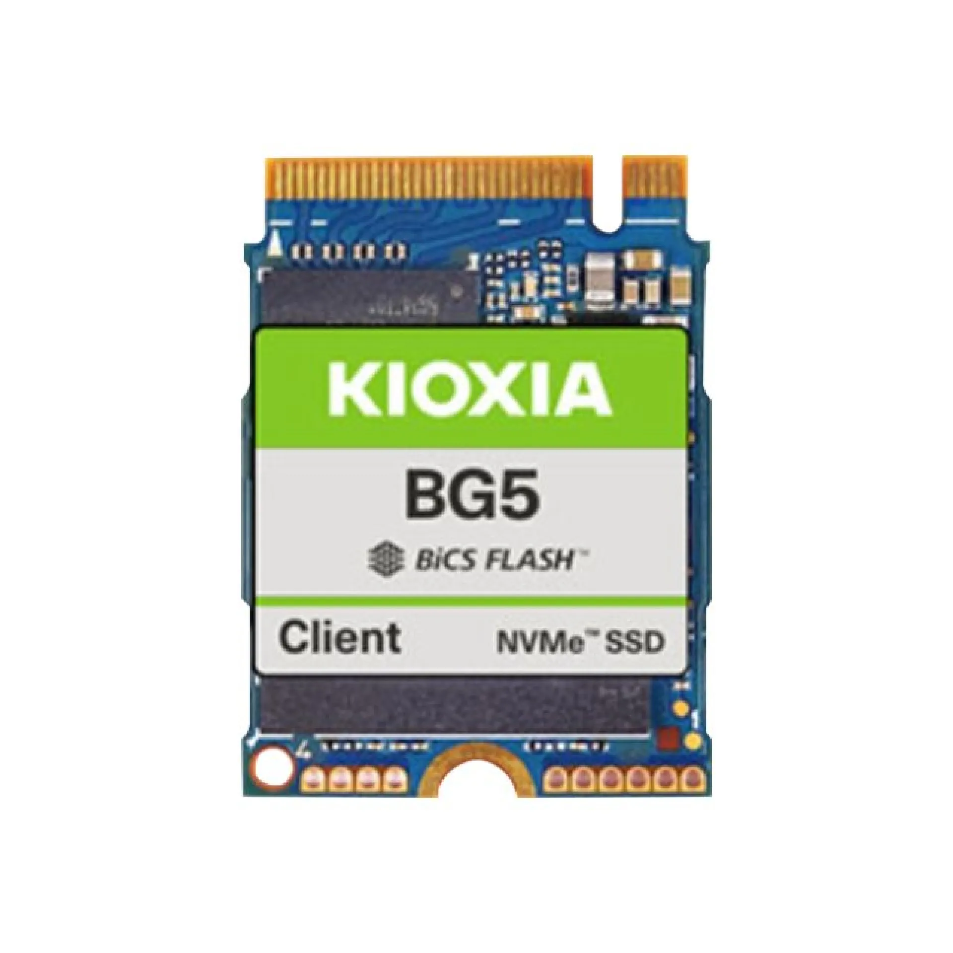 KBG50ZNV256G