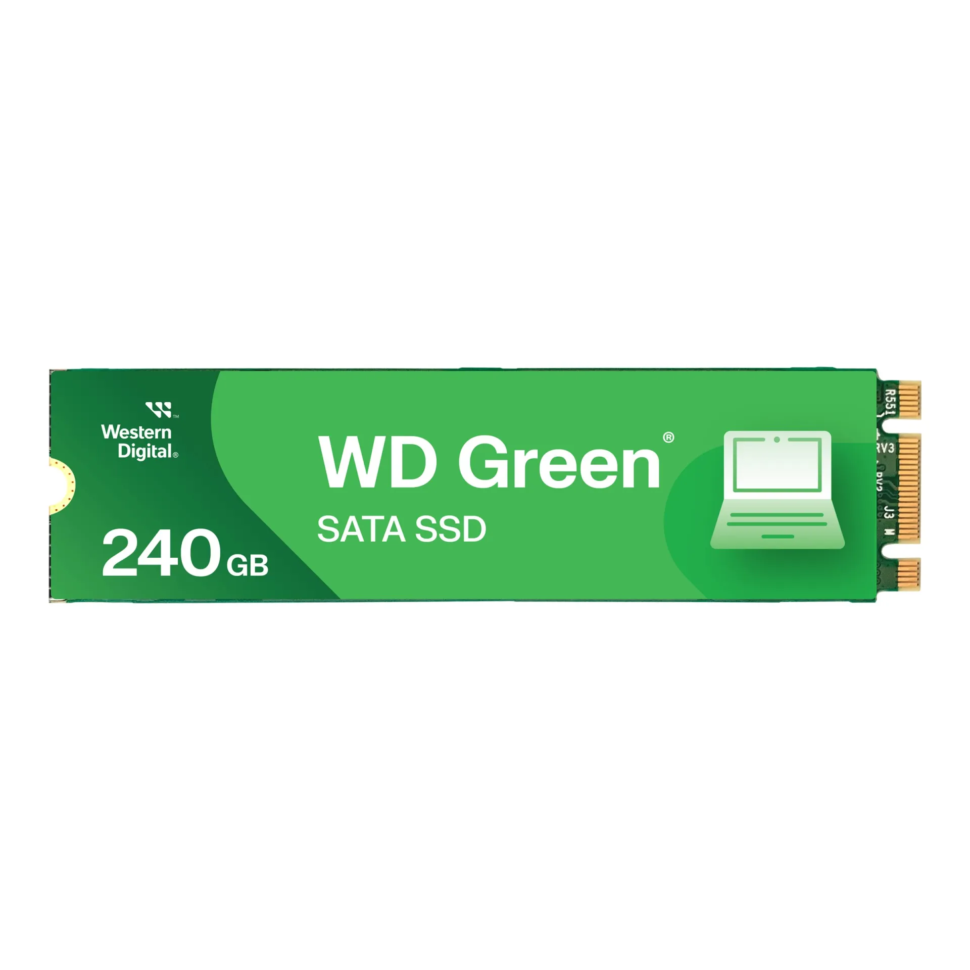 WDS240G3G0B
