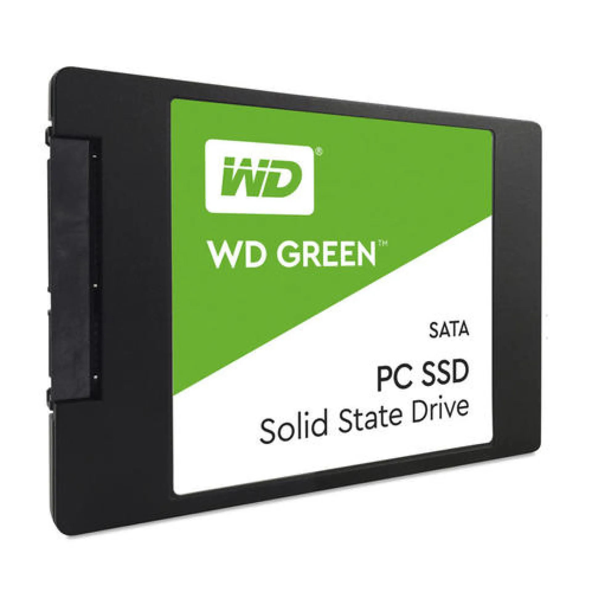 WDS100T2G0A