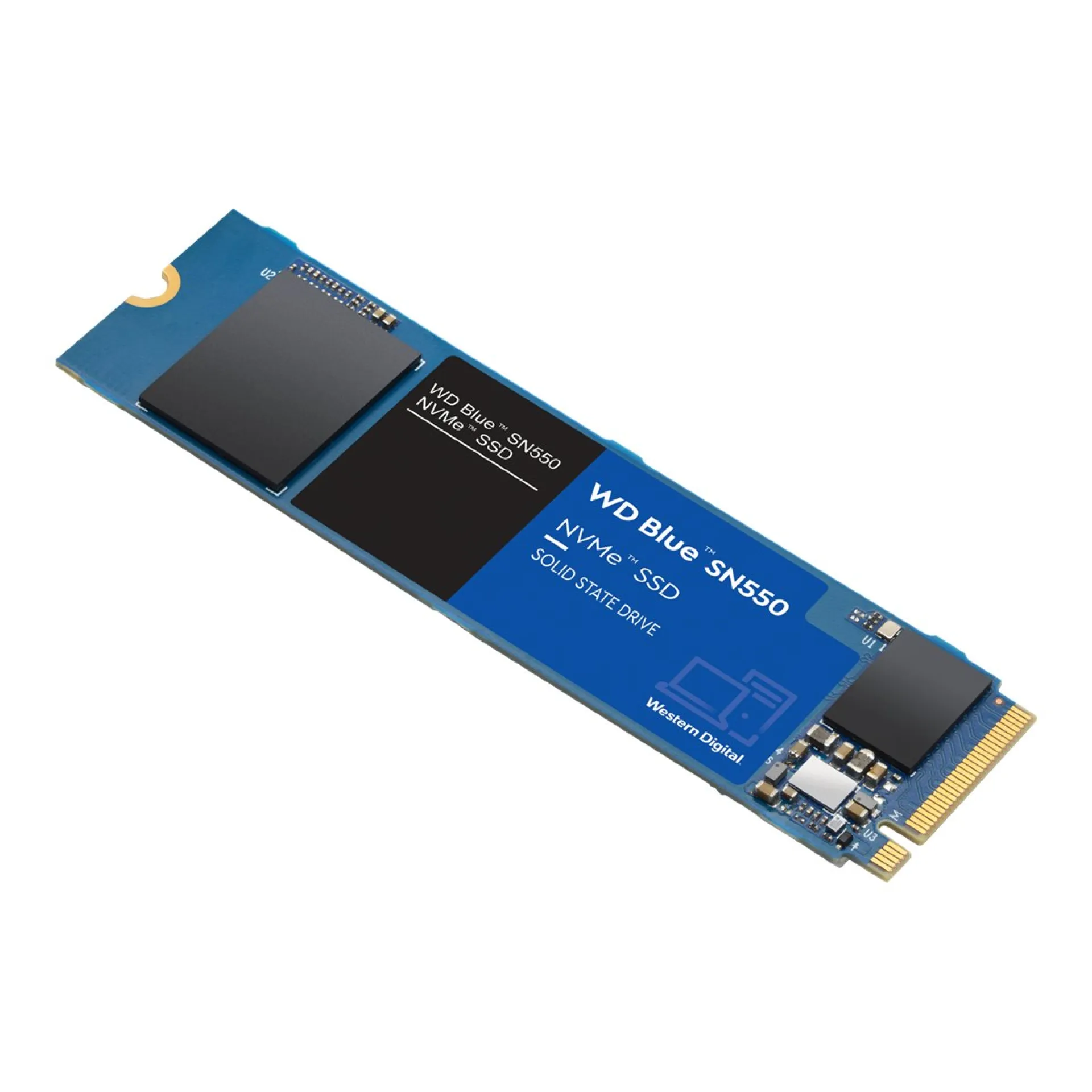 WDS250G2B0C