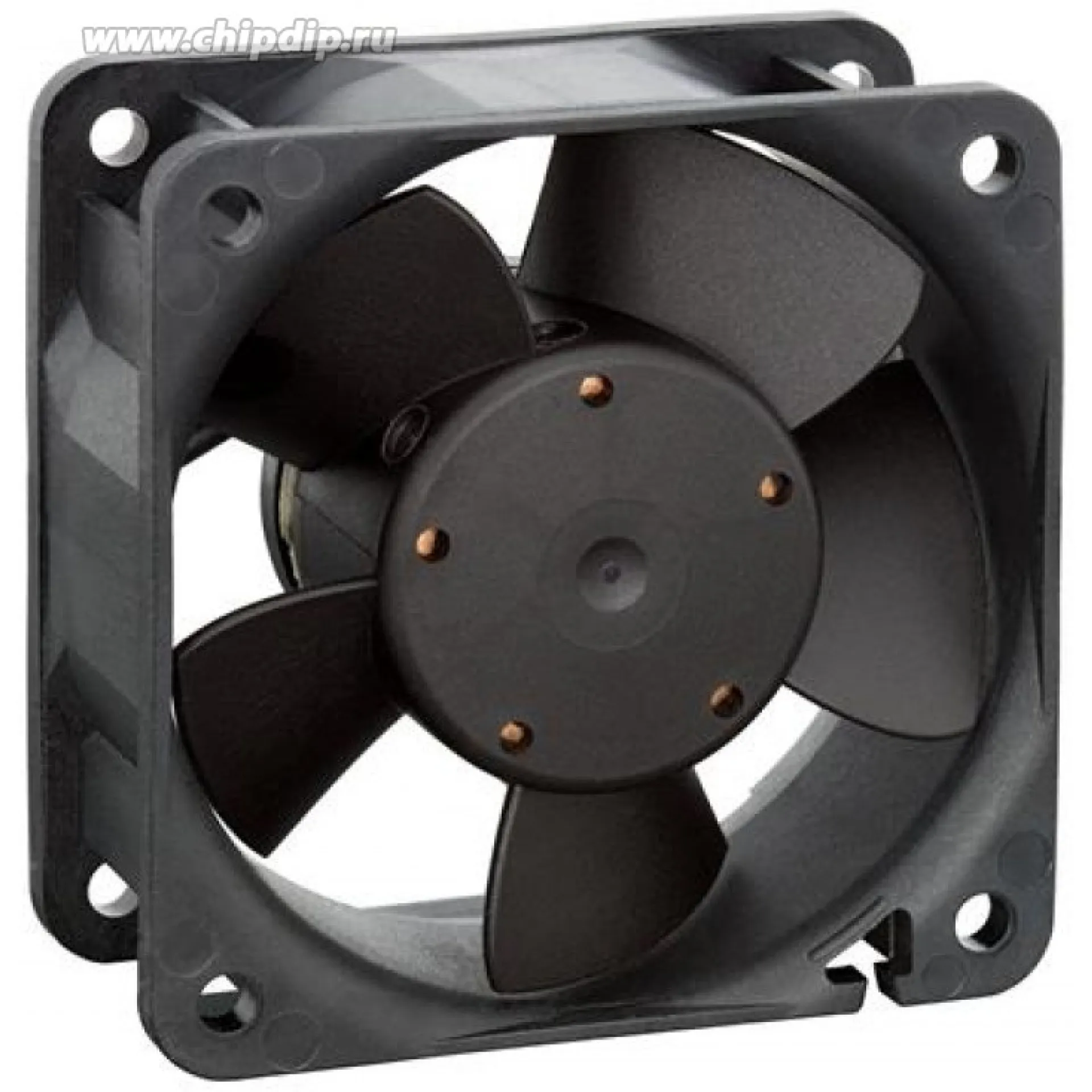 FAN-0081