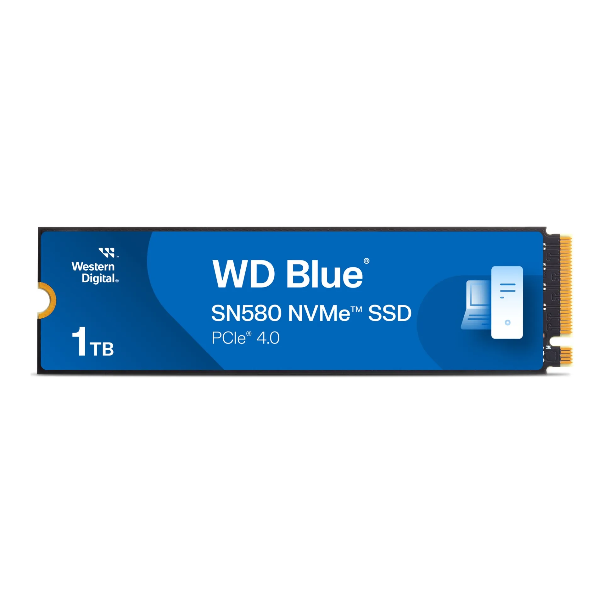 WDS100T3B0E