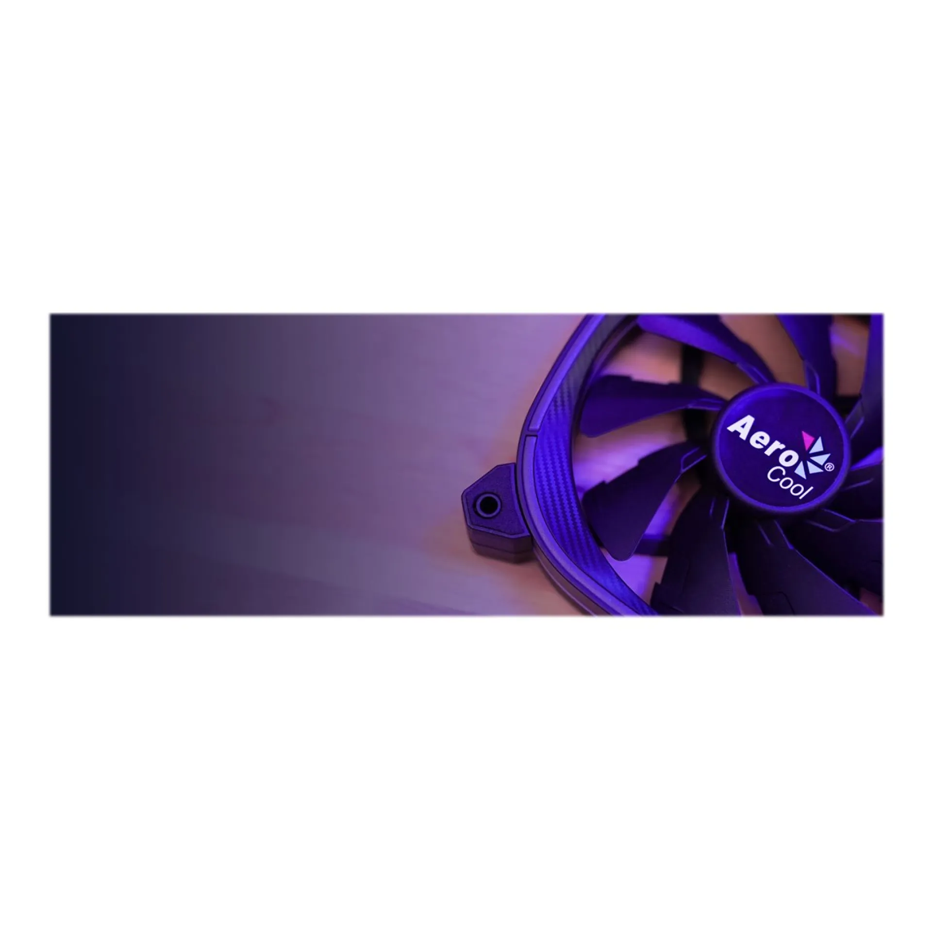 ACF3-AT10217.01