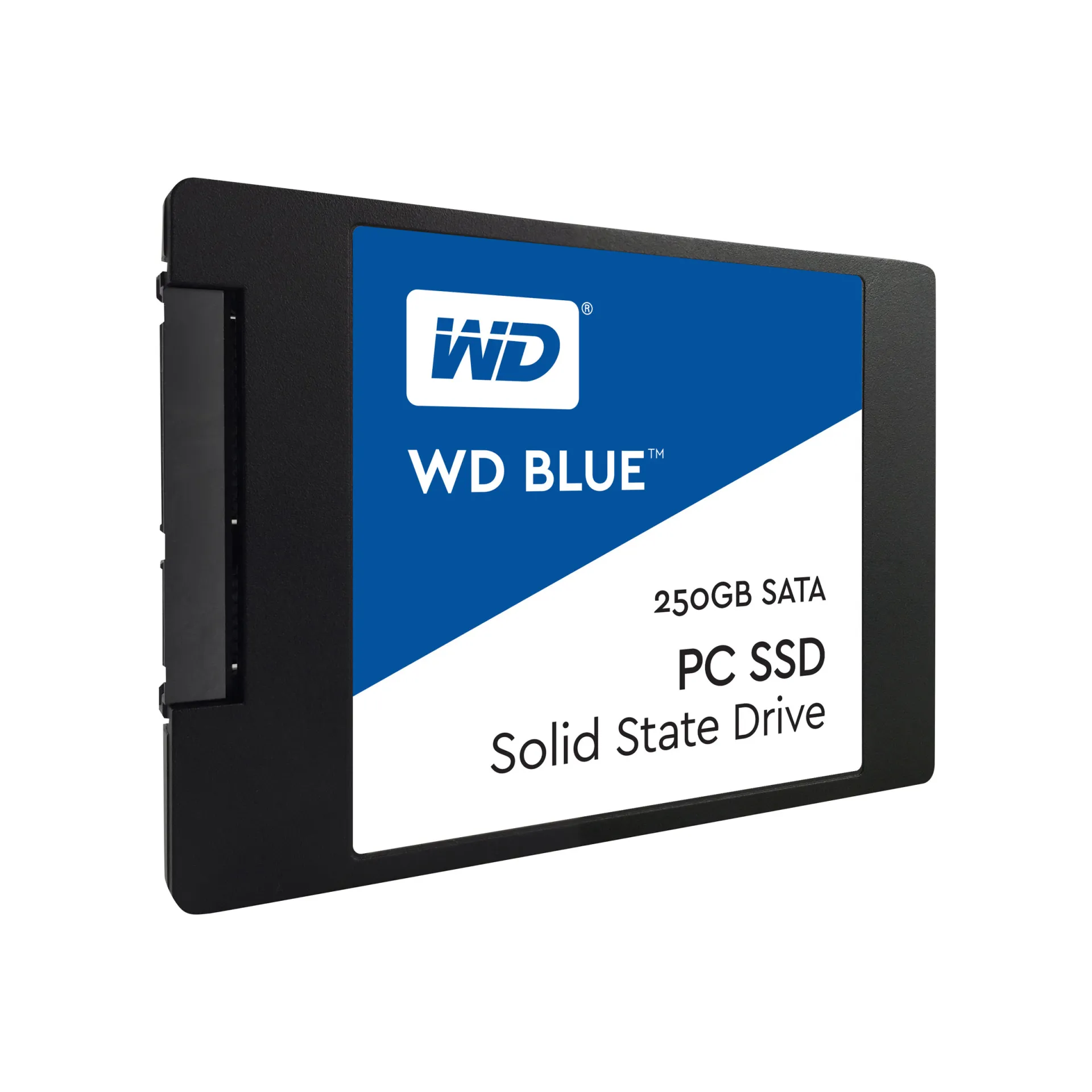 WDS250G1B0A