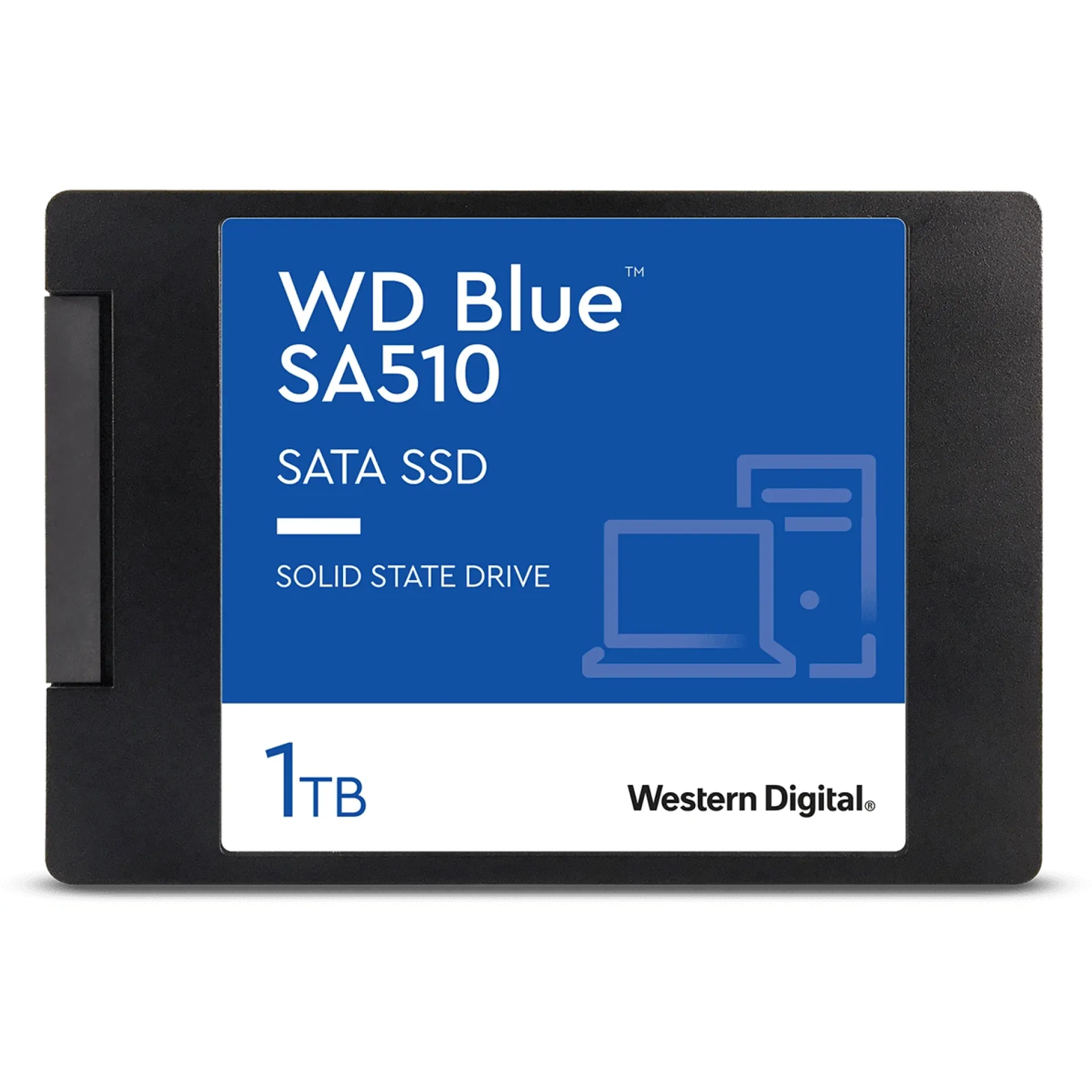 WDS100T3B0A-00AXR0