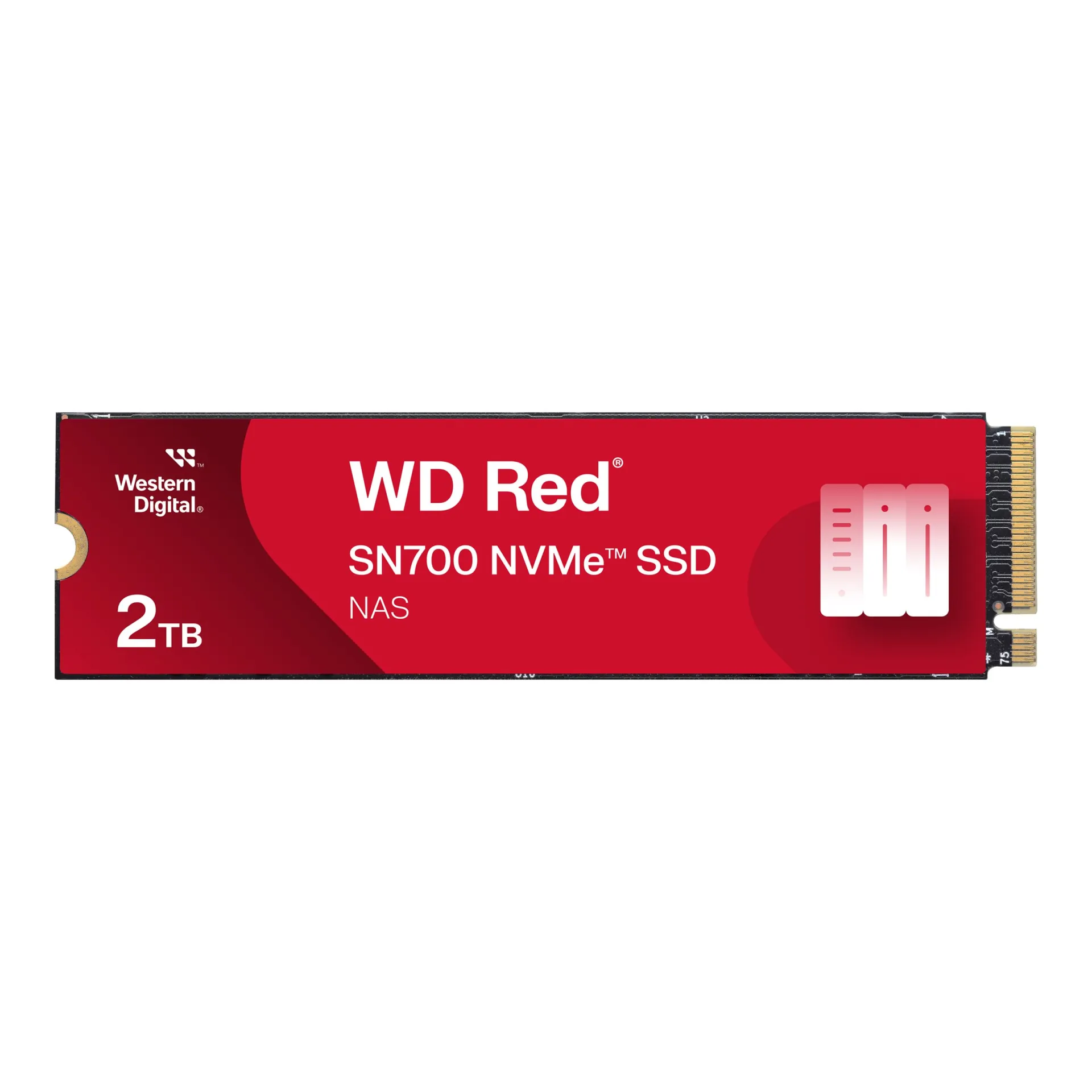 WDS200T1R0C