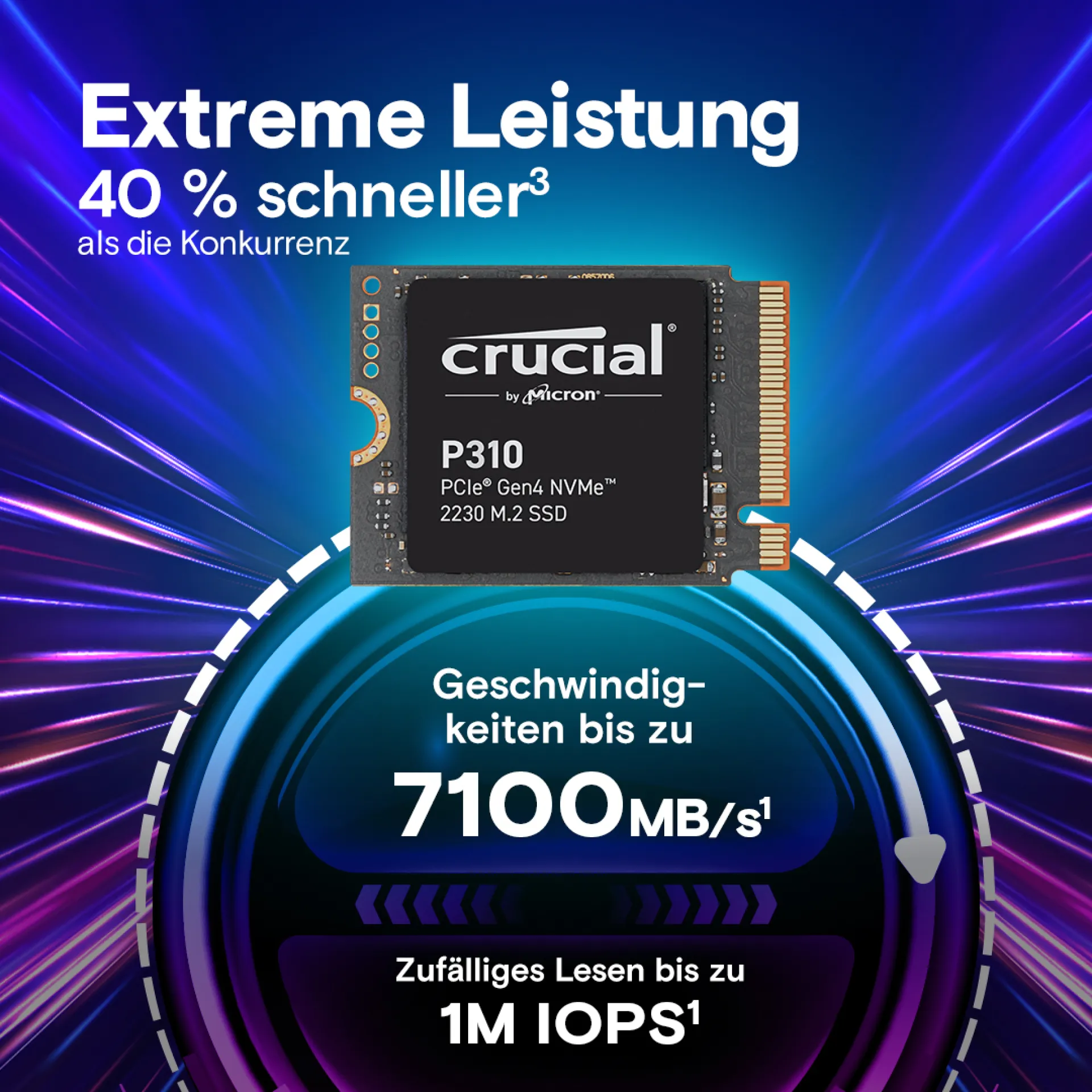 CT1000P310SSD2