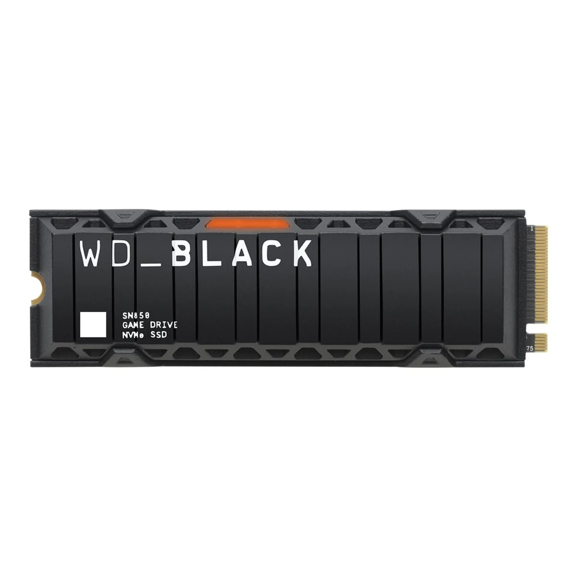 WDS500G1X0E