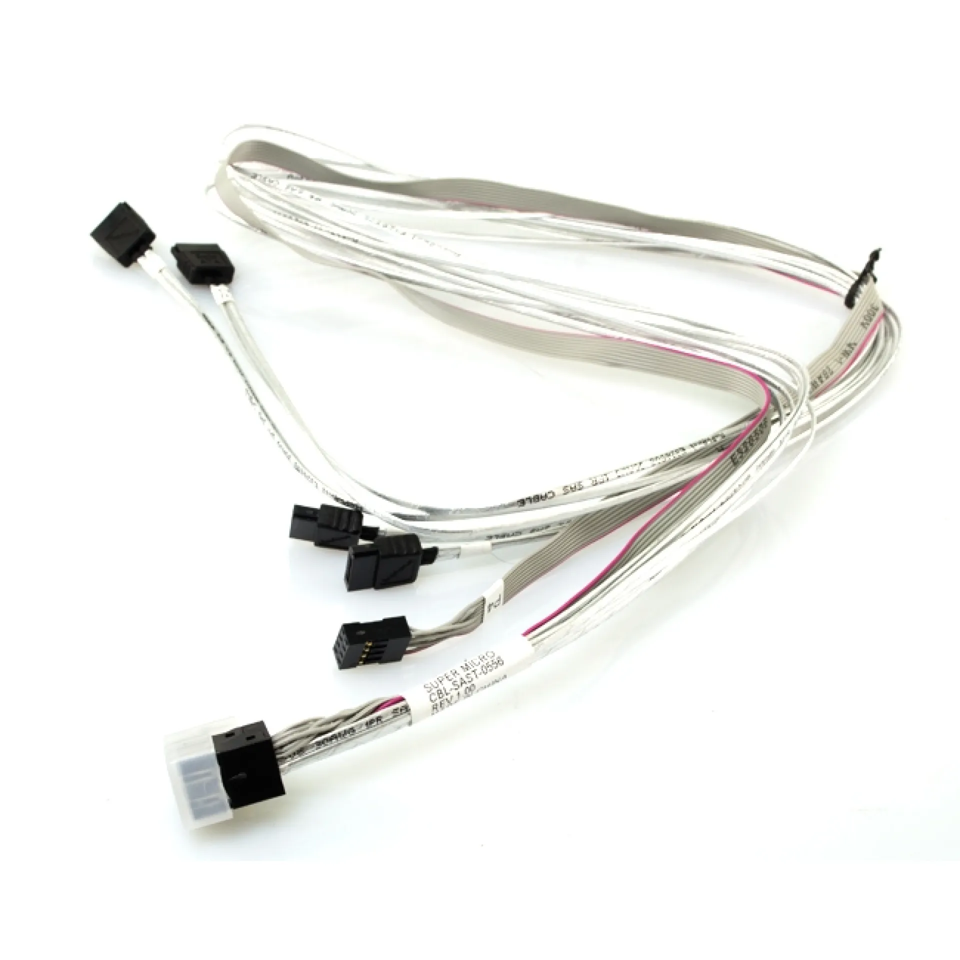 CBL-SAST-0556