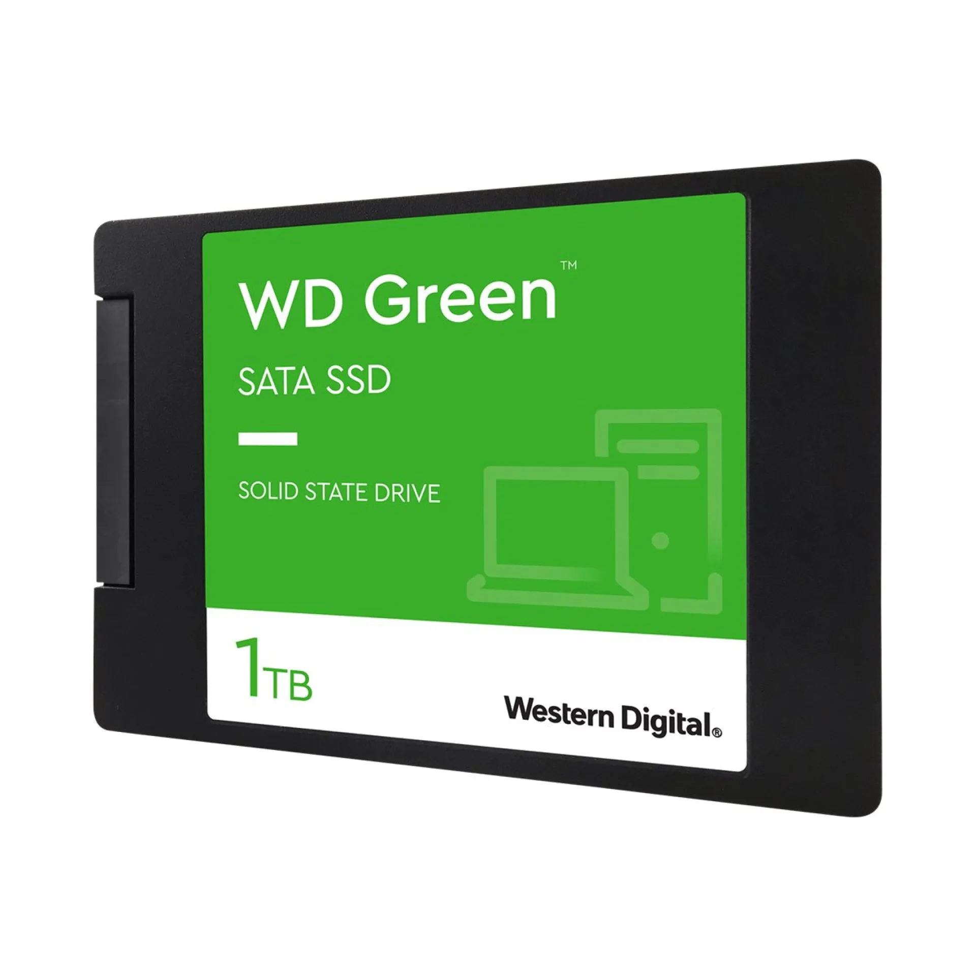 WDS100T2G0A
