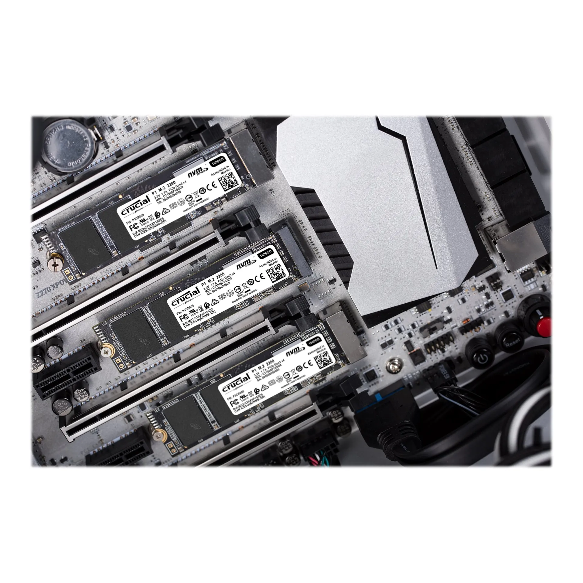 CT1000P1SSD8