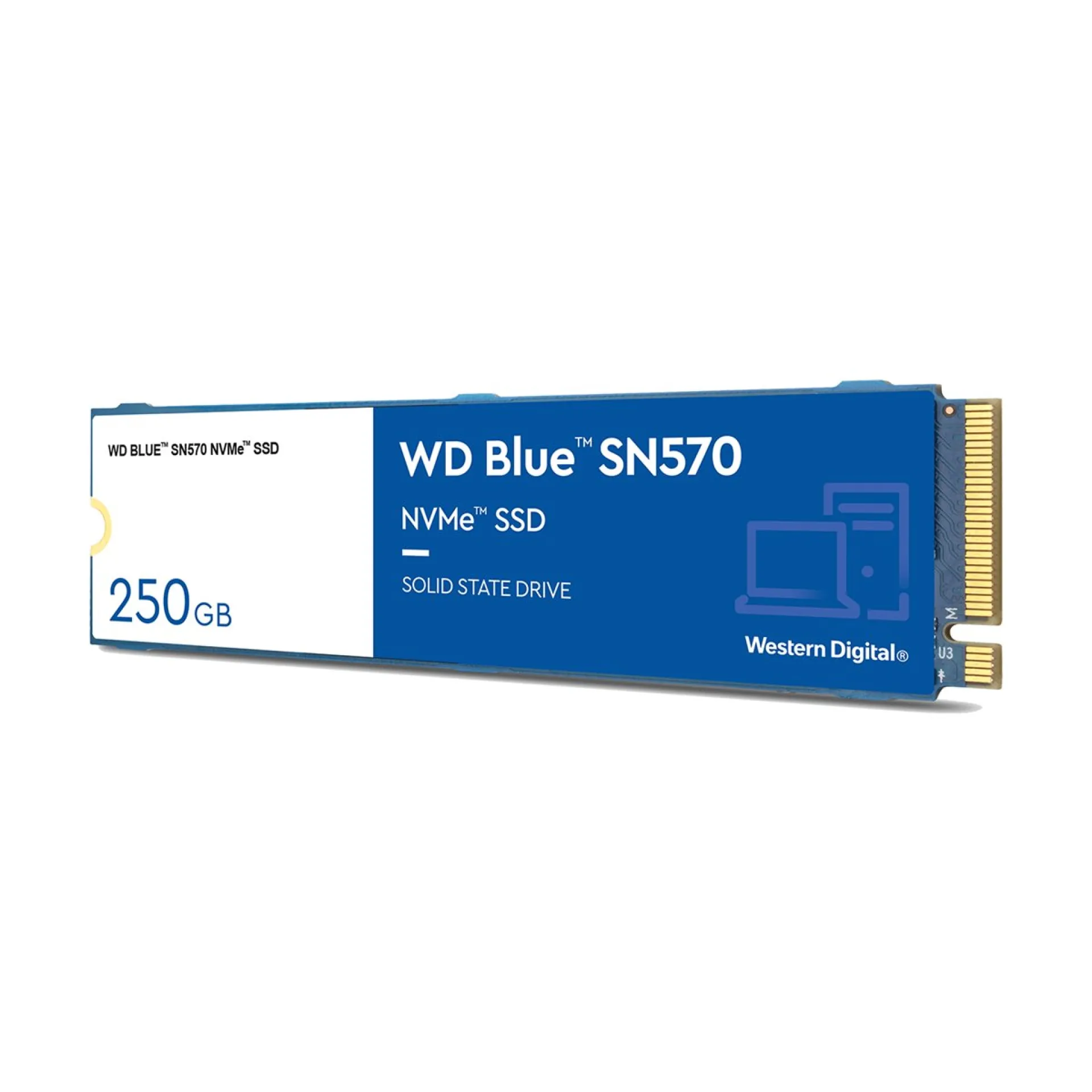WDS250G3B0C