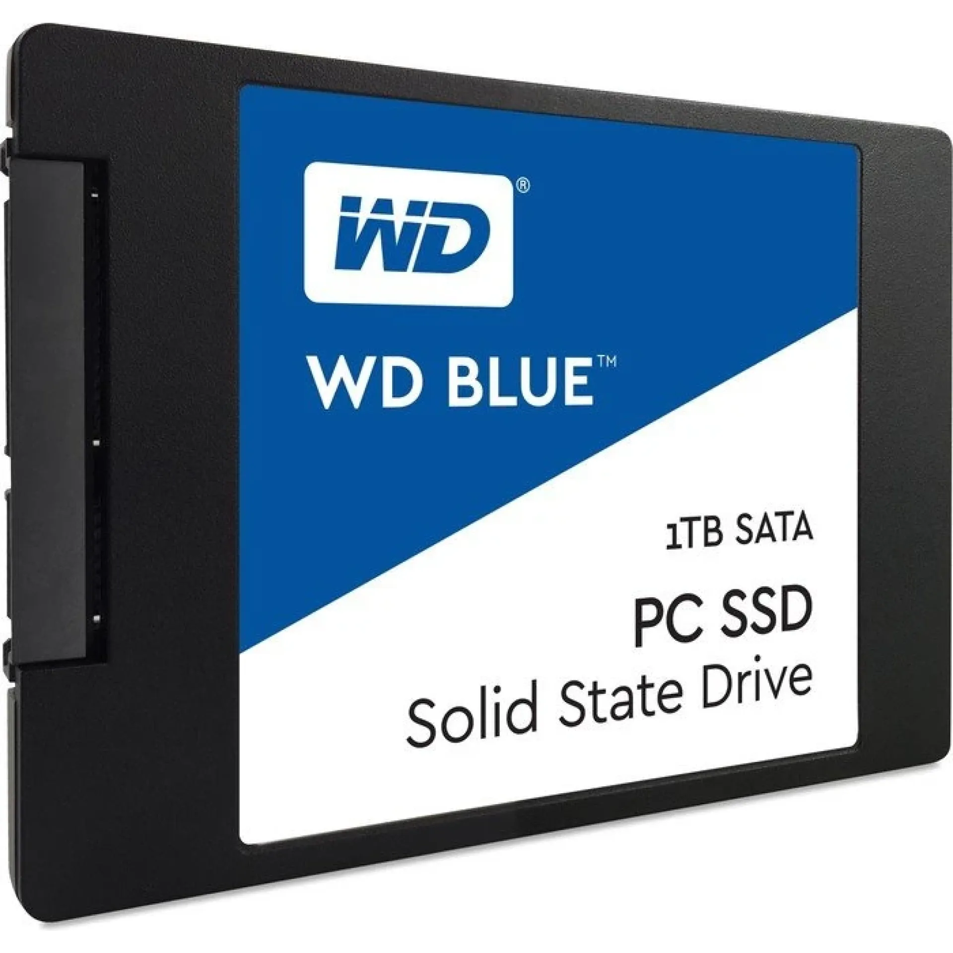 WDS100T1B0A