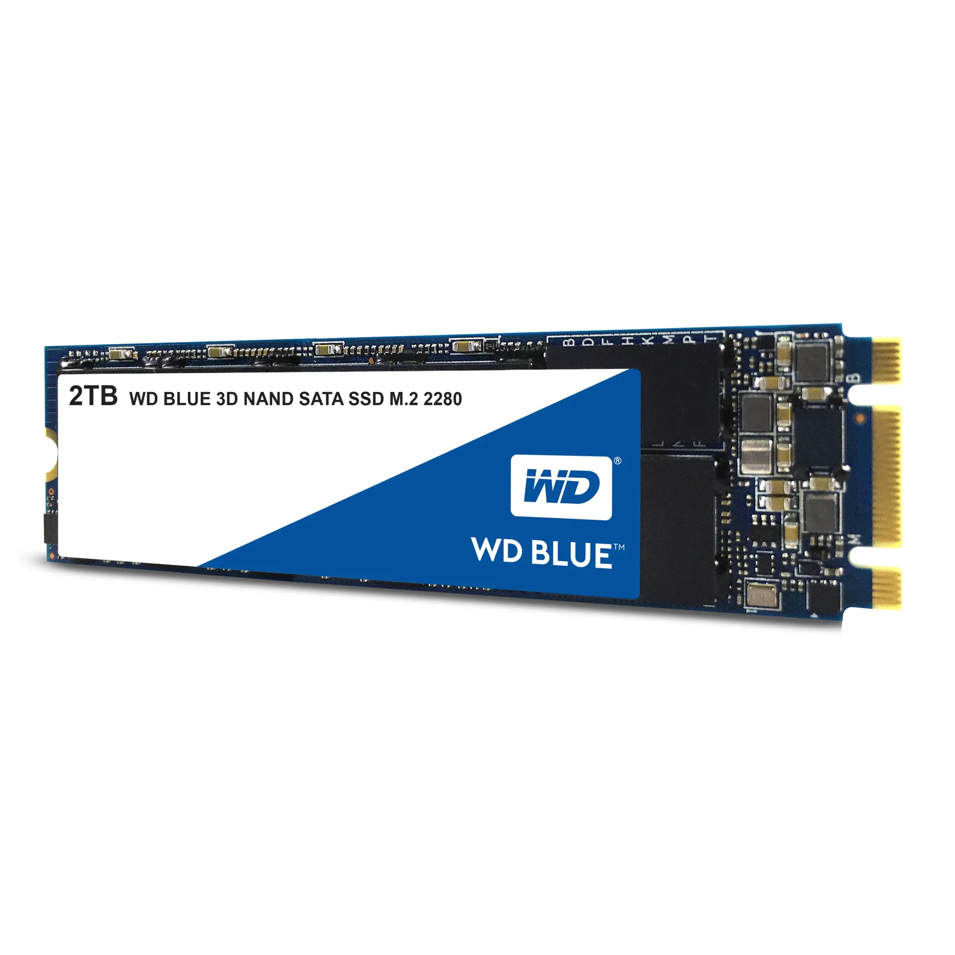 WDS200T2B0B
