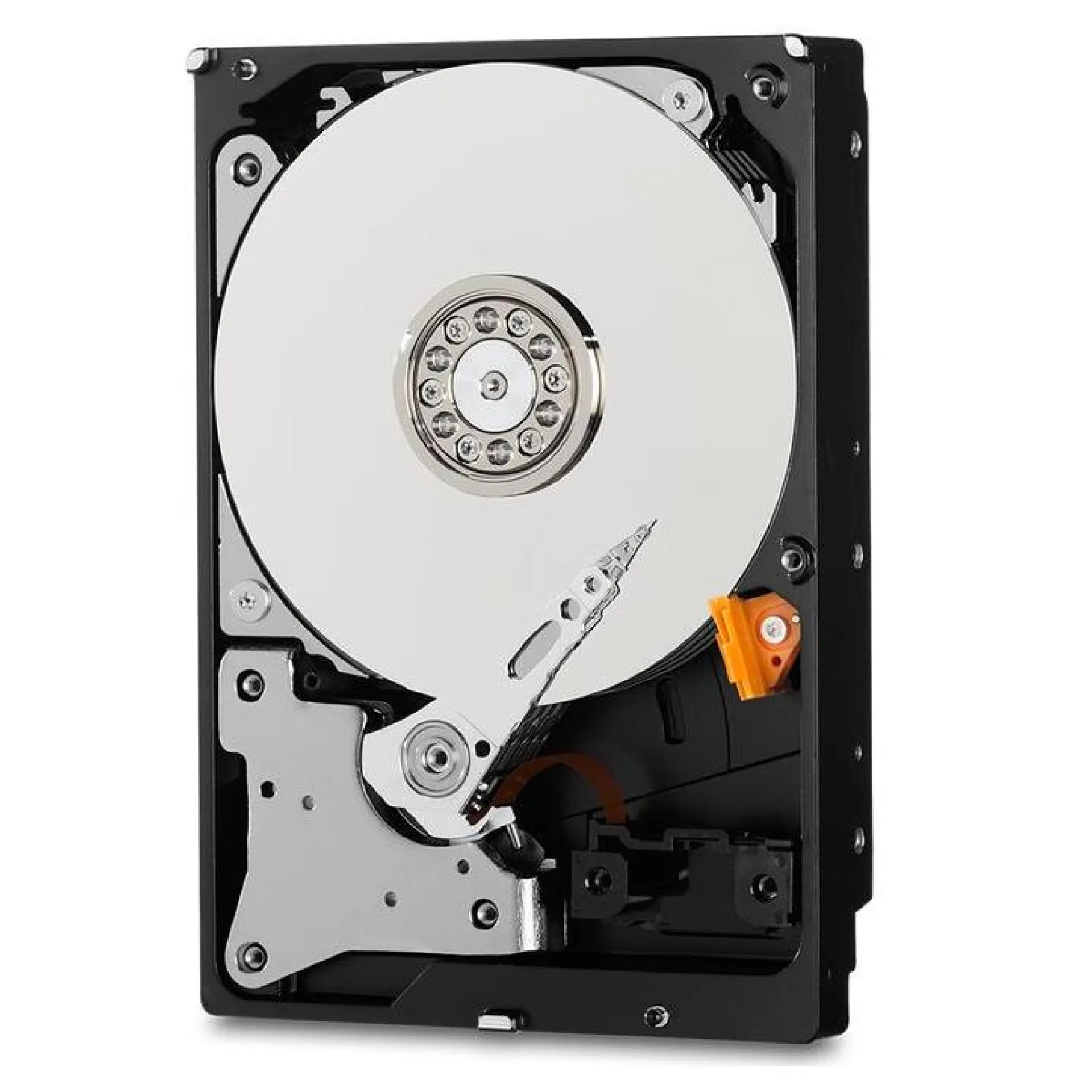 WD82PURZ