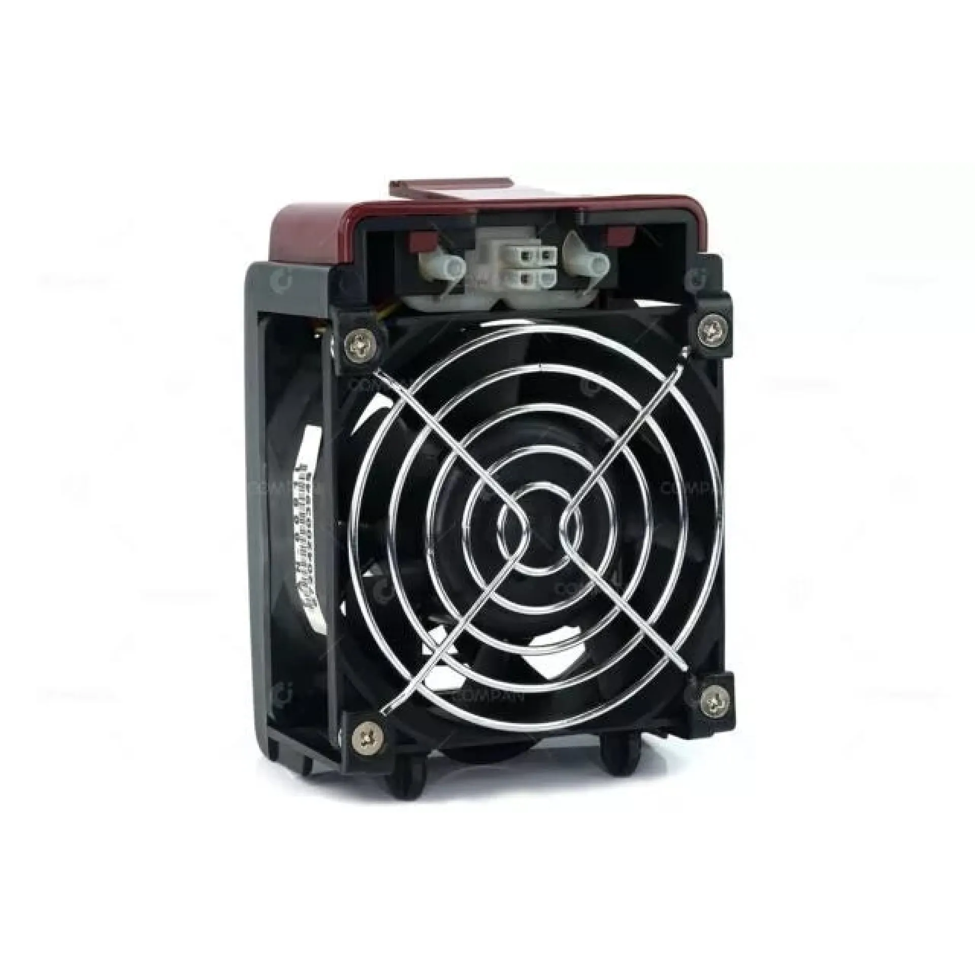 FAN-0081