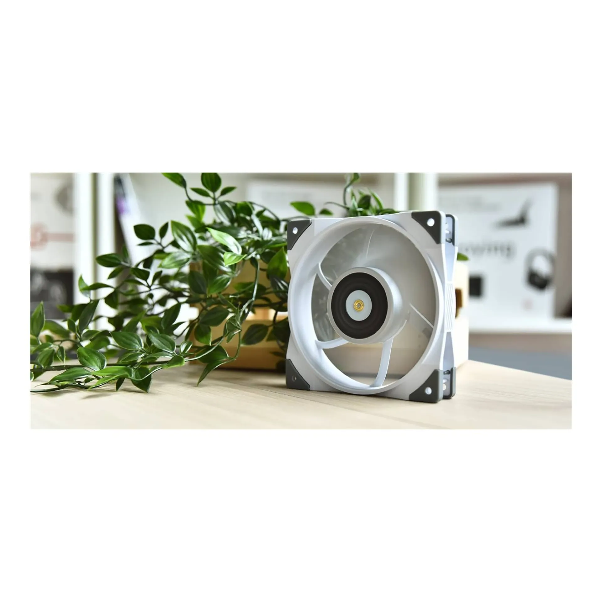 CL-F117-PL12WT-A