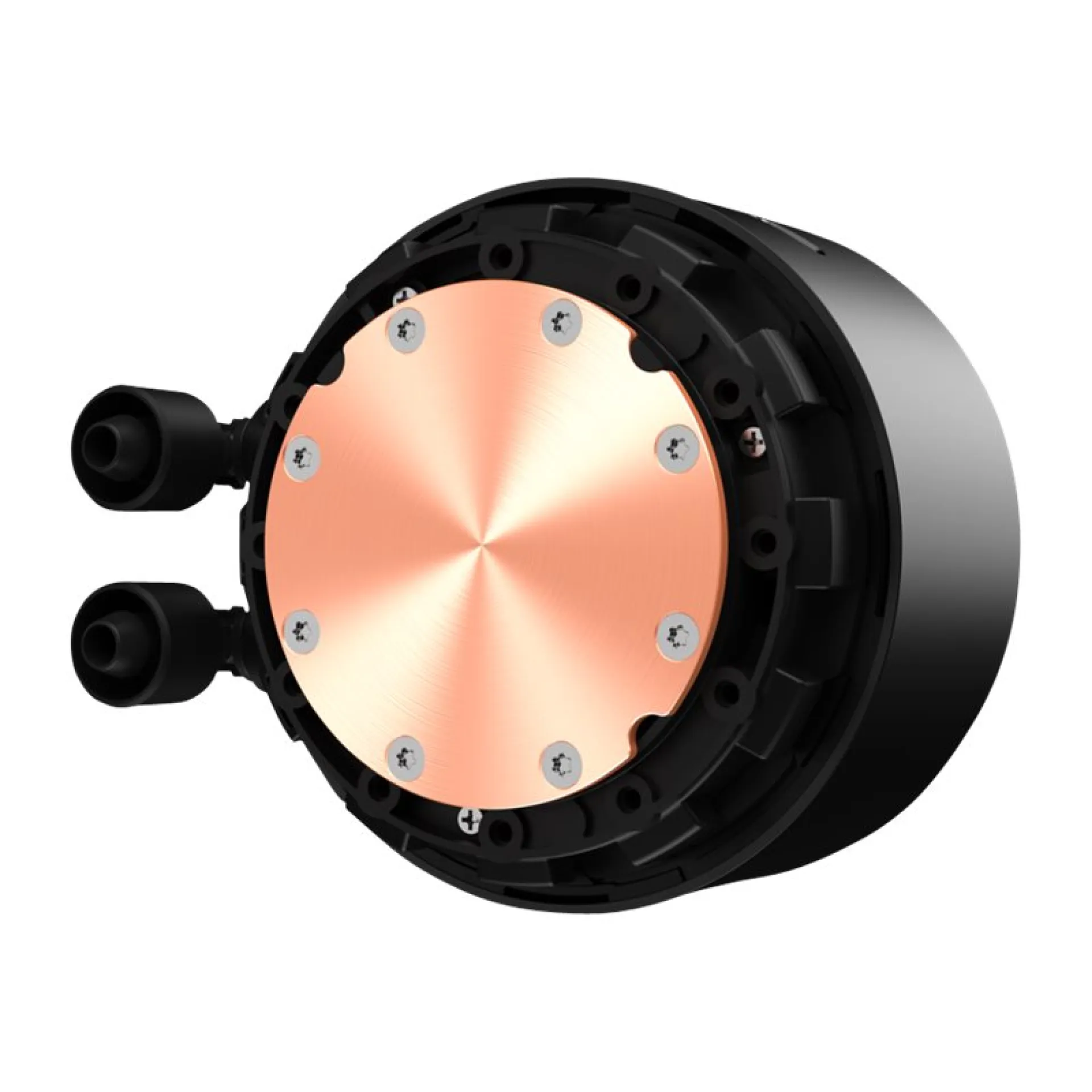 RL-KRZ63-01