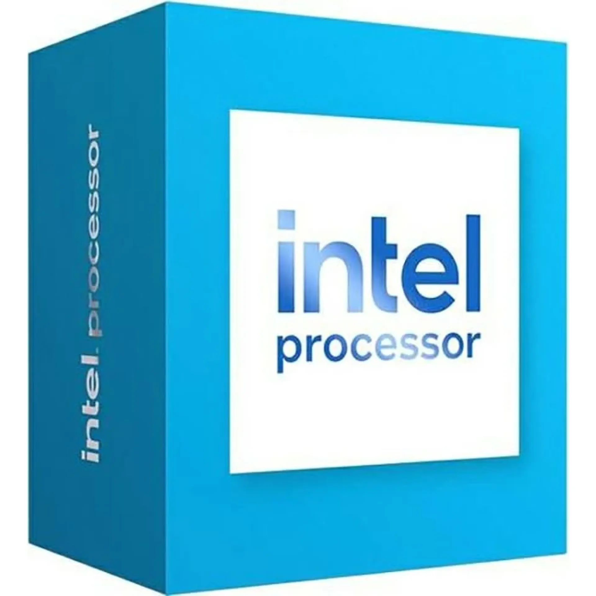 Intel 300