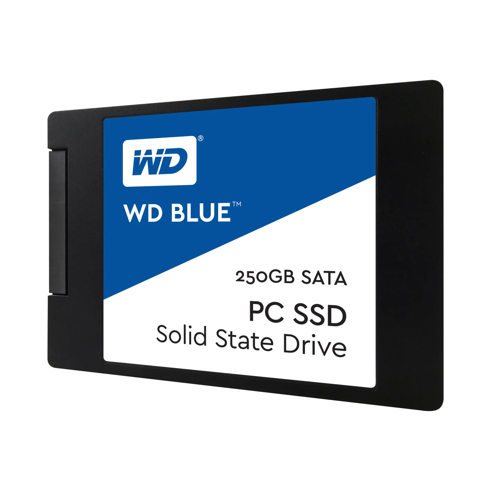 WDS250G1B0A