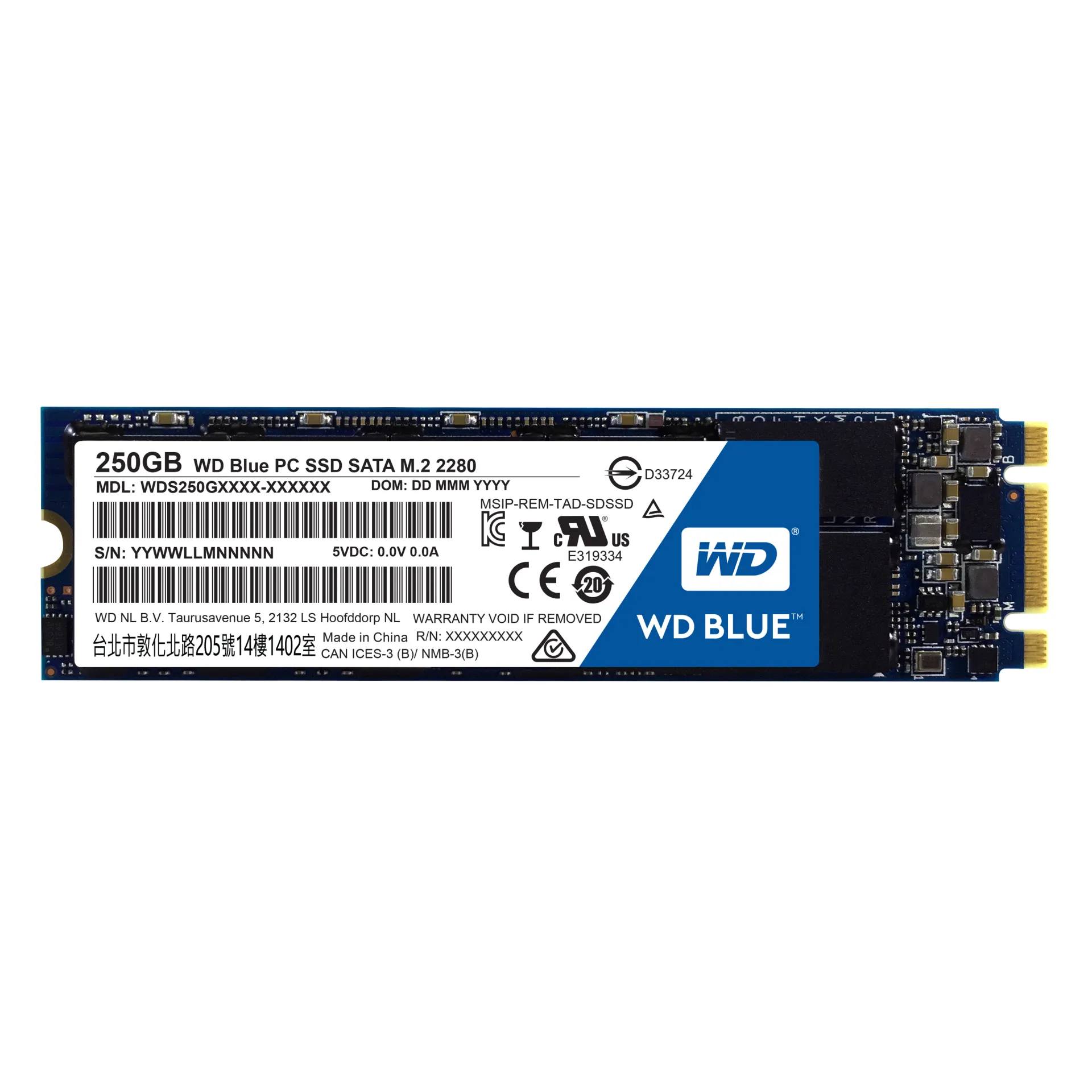 WDS250G1B0B