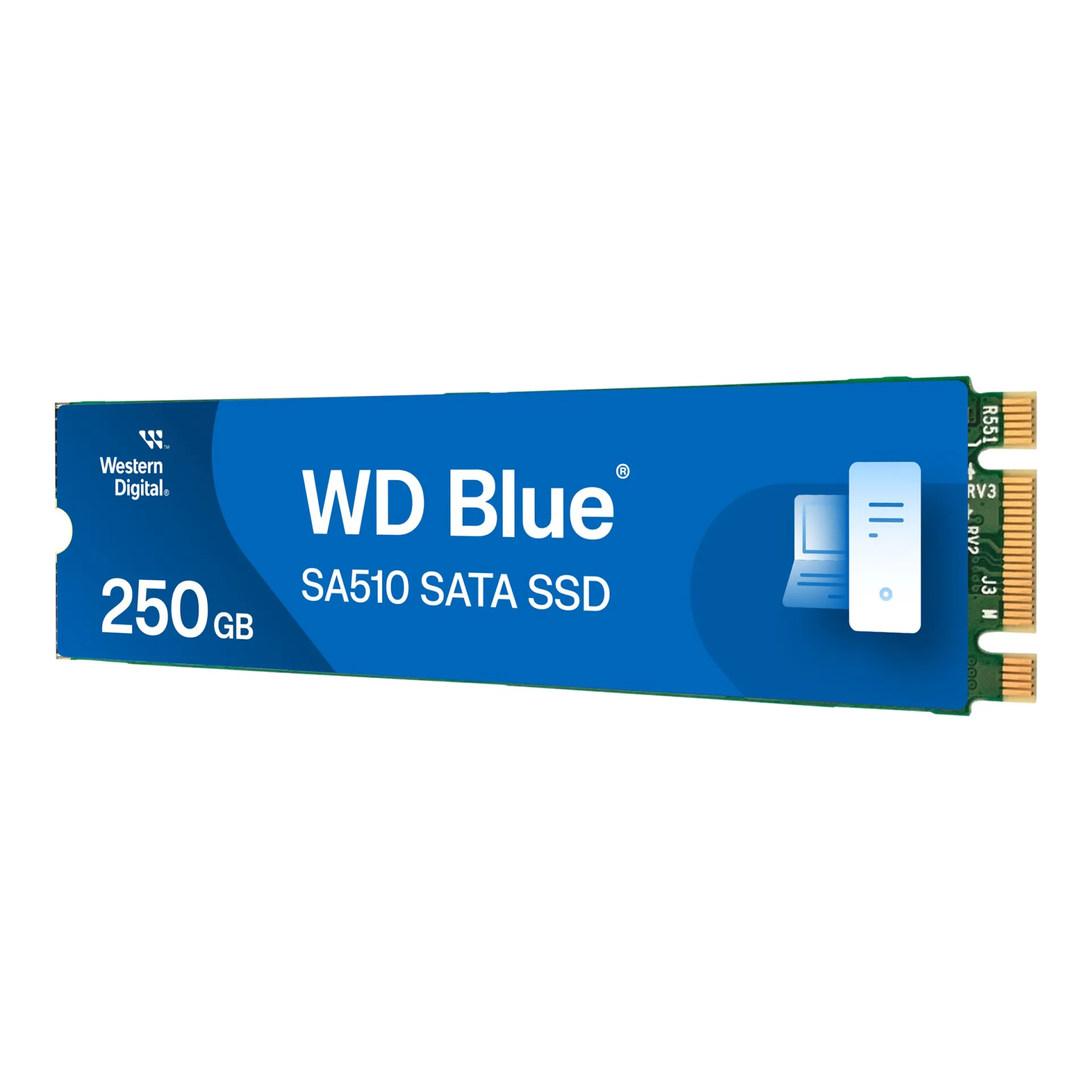 WDS250G3B0B