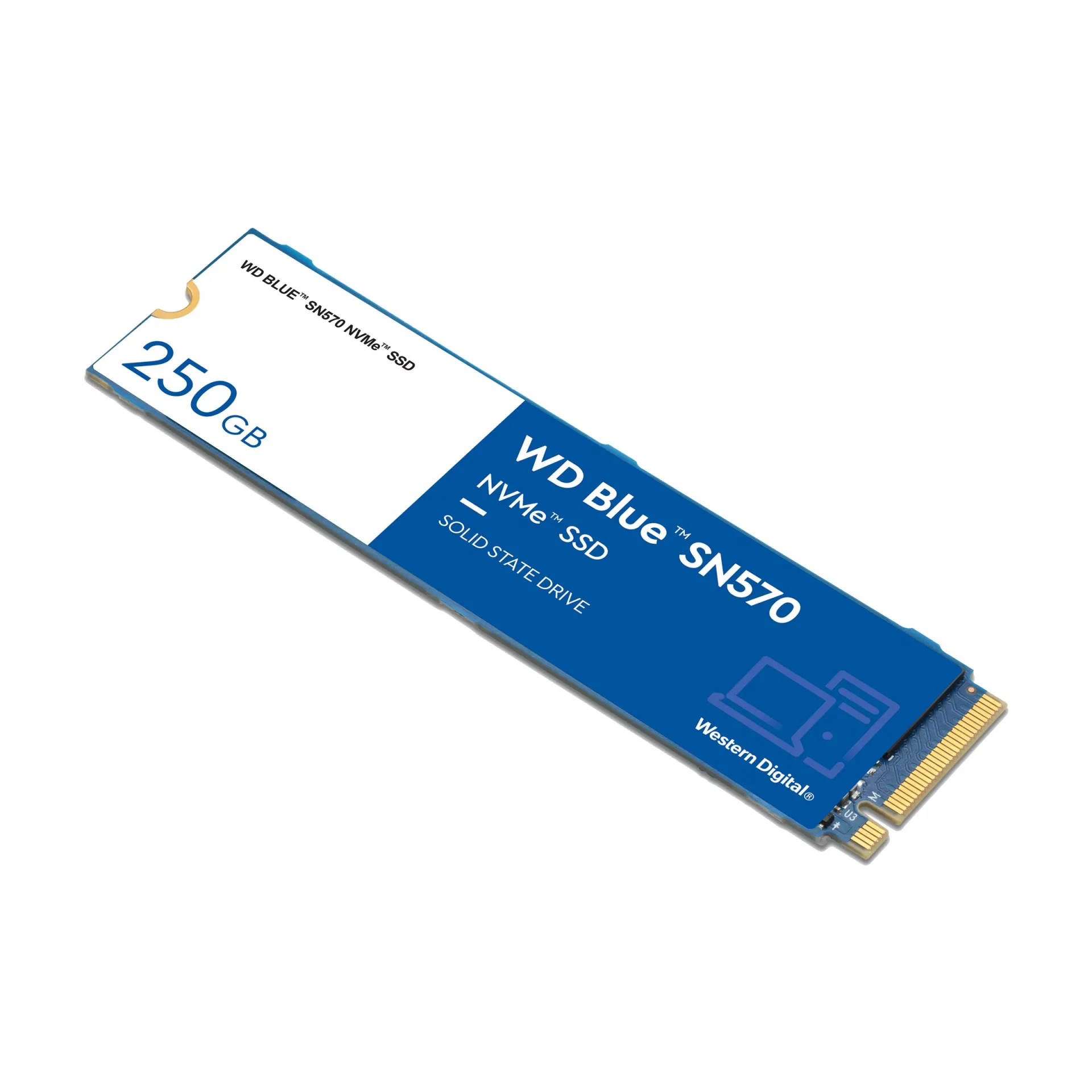 WDS250G3B0C